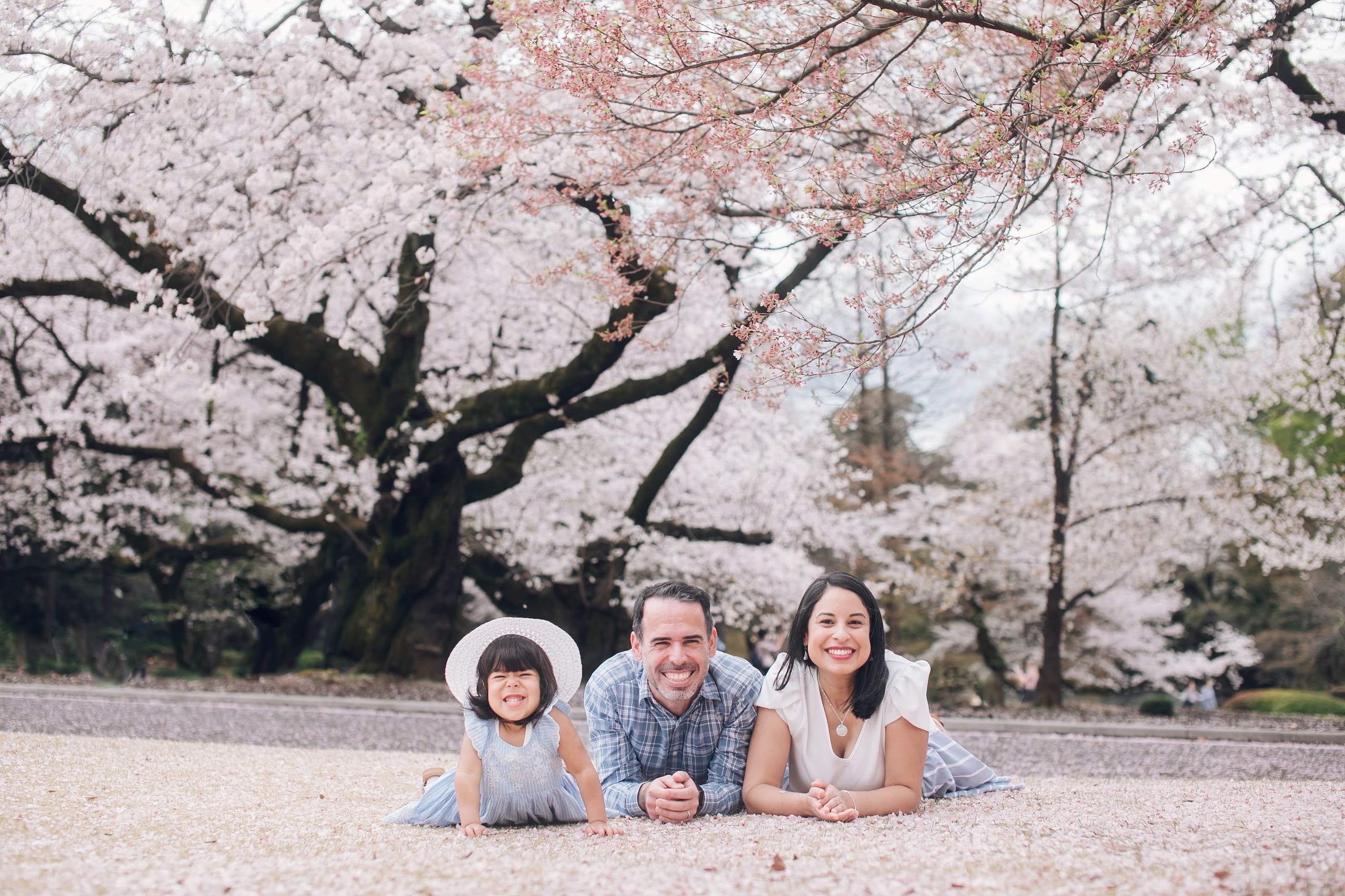 Mariangellys Rodríguez Pantoja, su esposo Fernando Torre González y su hija Eliana Enid frente a los árboles de flores de cerezos, en Japón.