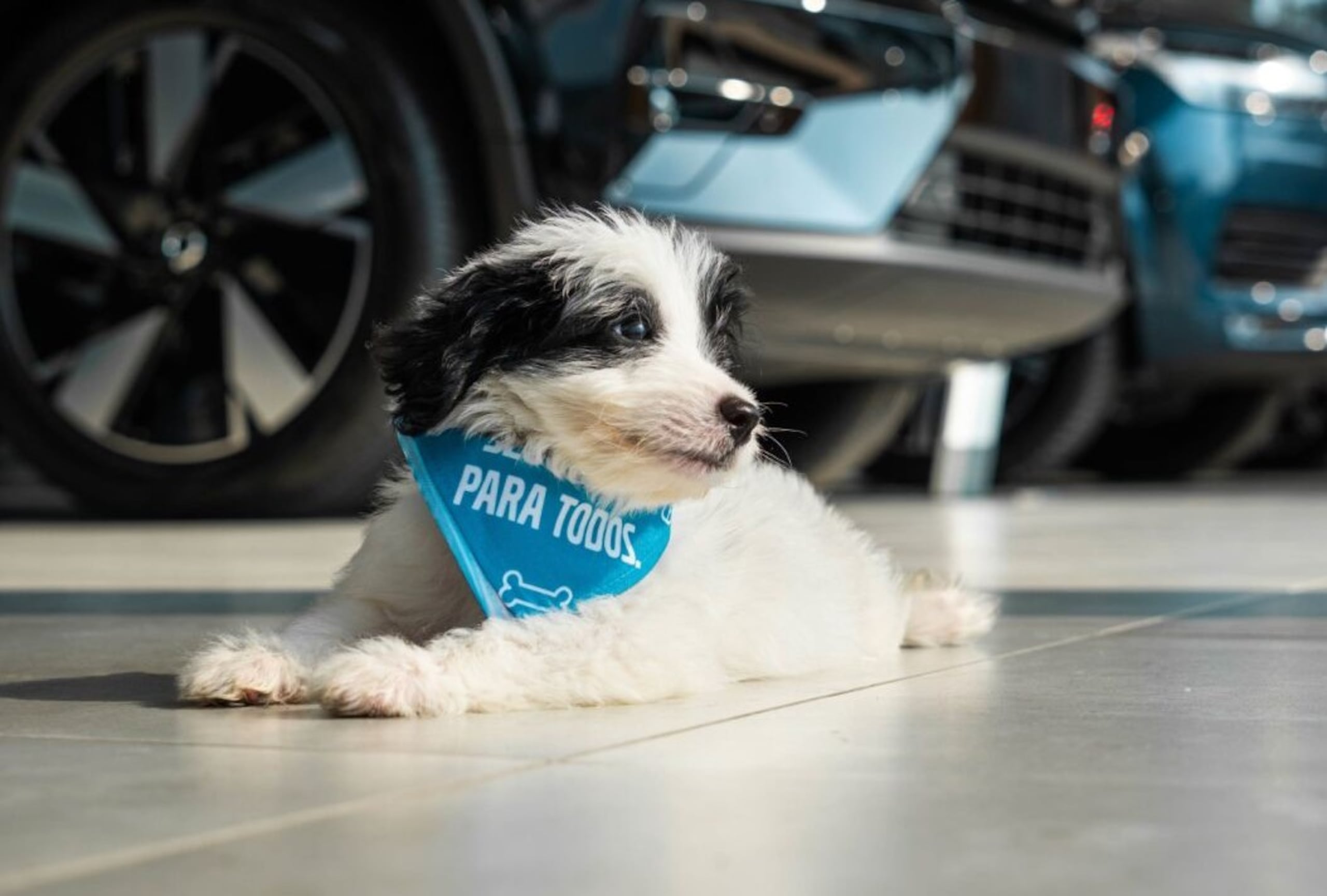 Este evento está abierto al público.