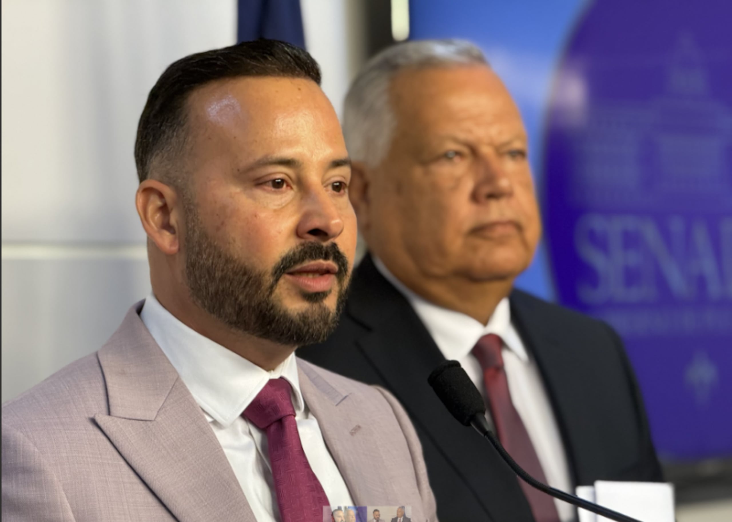 Los senadores Luis Javier Hernández y Josian Santiago