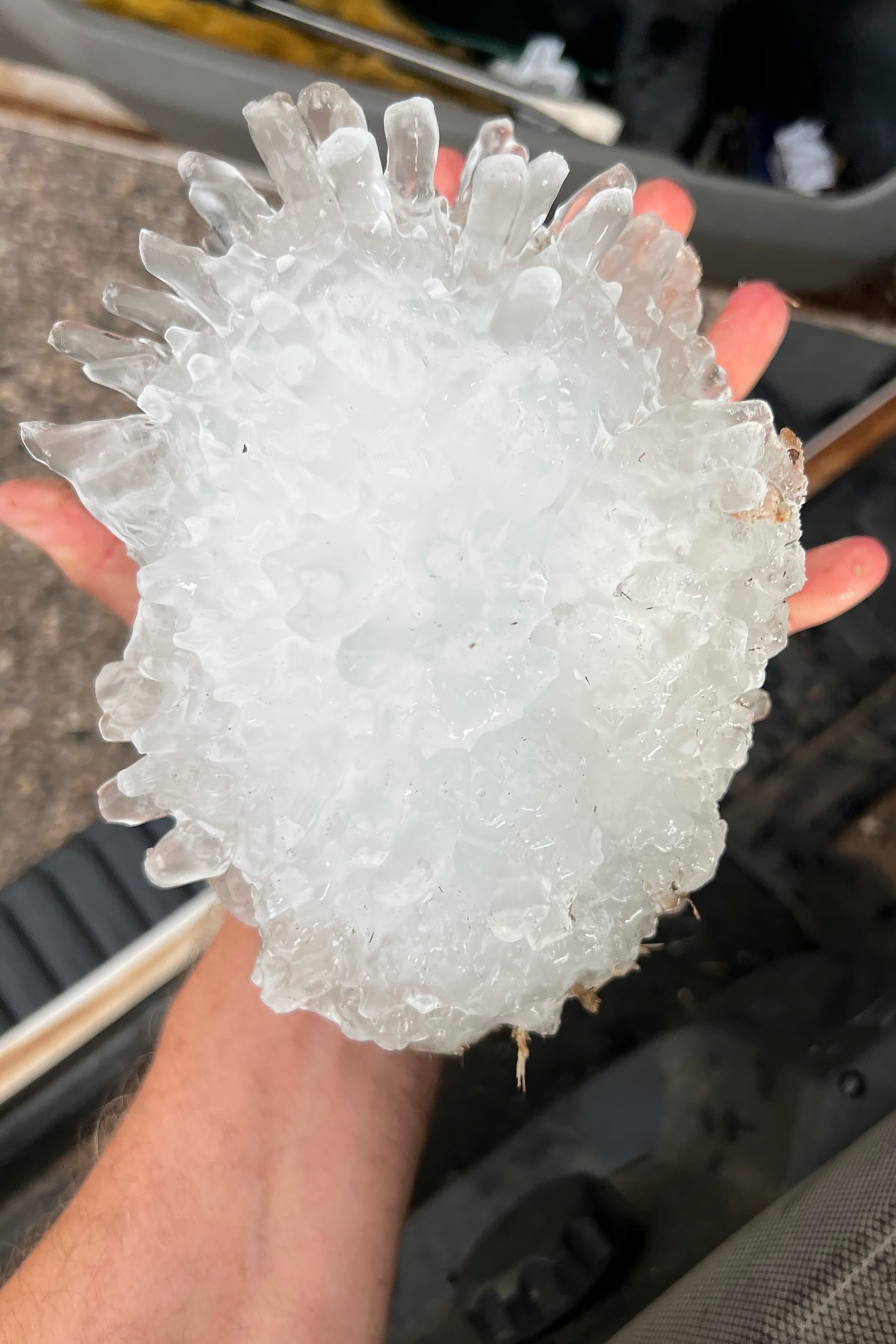 El enorme pedazo de granizo de siete pulgadas, supera uno de 6.4 pulgadas hallado en 2021, y que hasta ese momento era el más grande que se había encontrado.