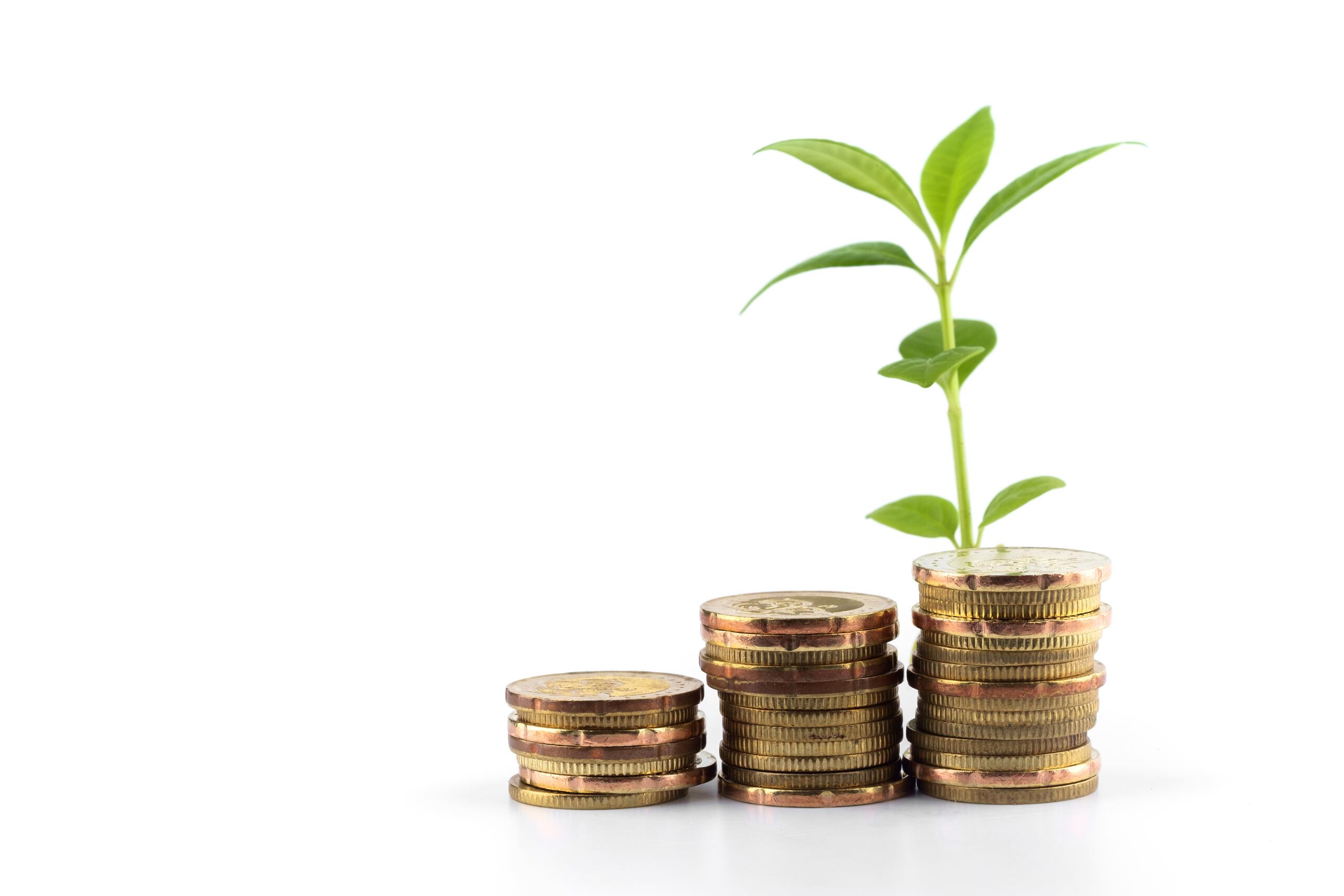 La tecnología permite simplificar las finanzas: desde aplicaciones para manejar tu presupuesto, programar tus pagos y ahorros de forma automática, hasta la programación de alertas cuando algo necesita de tu intervención.