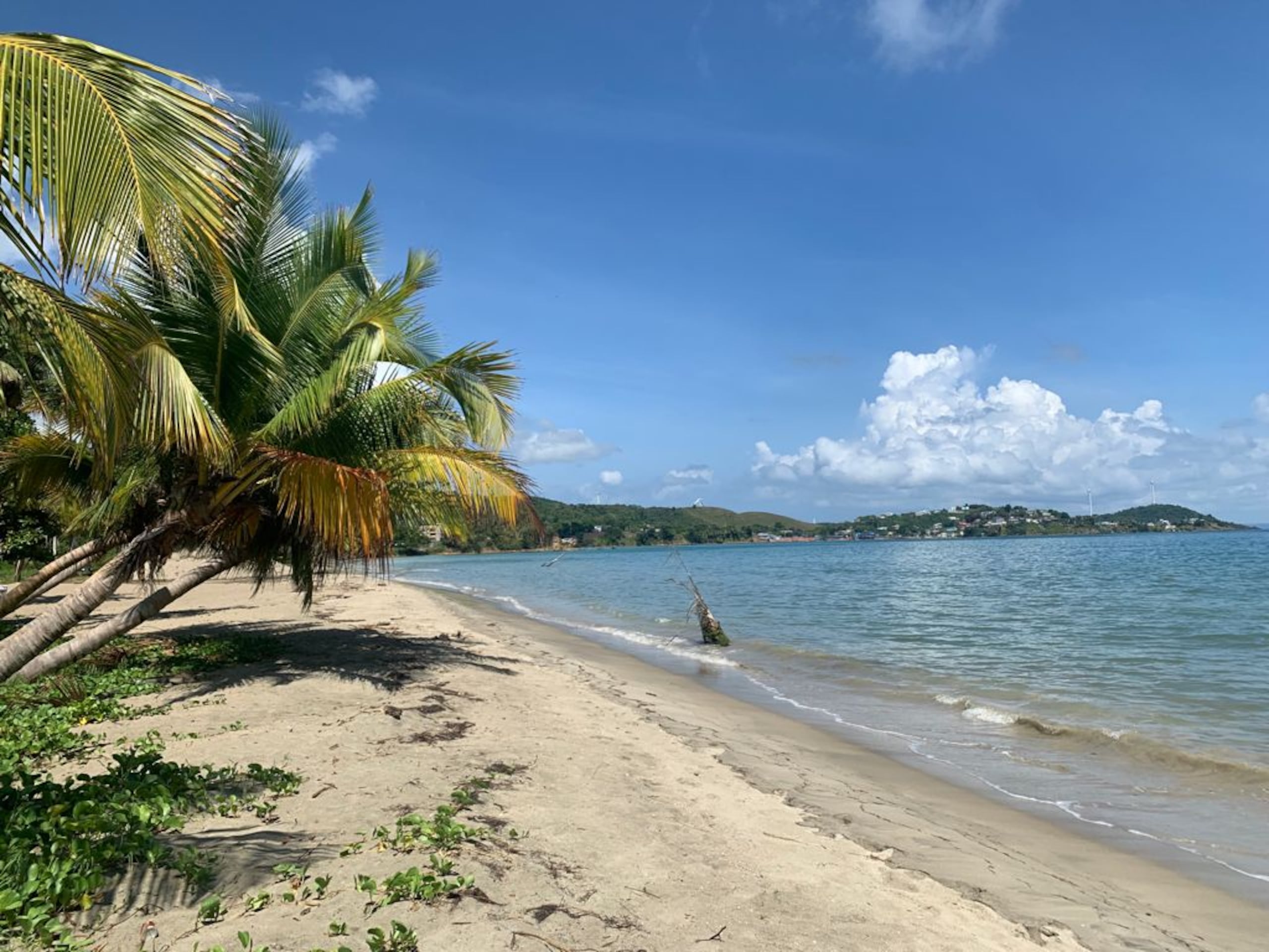 Tropical Beach, en Naguabo.