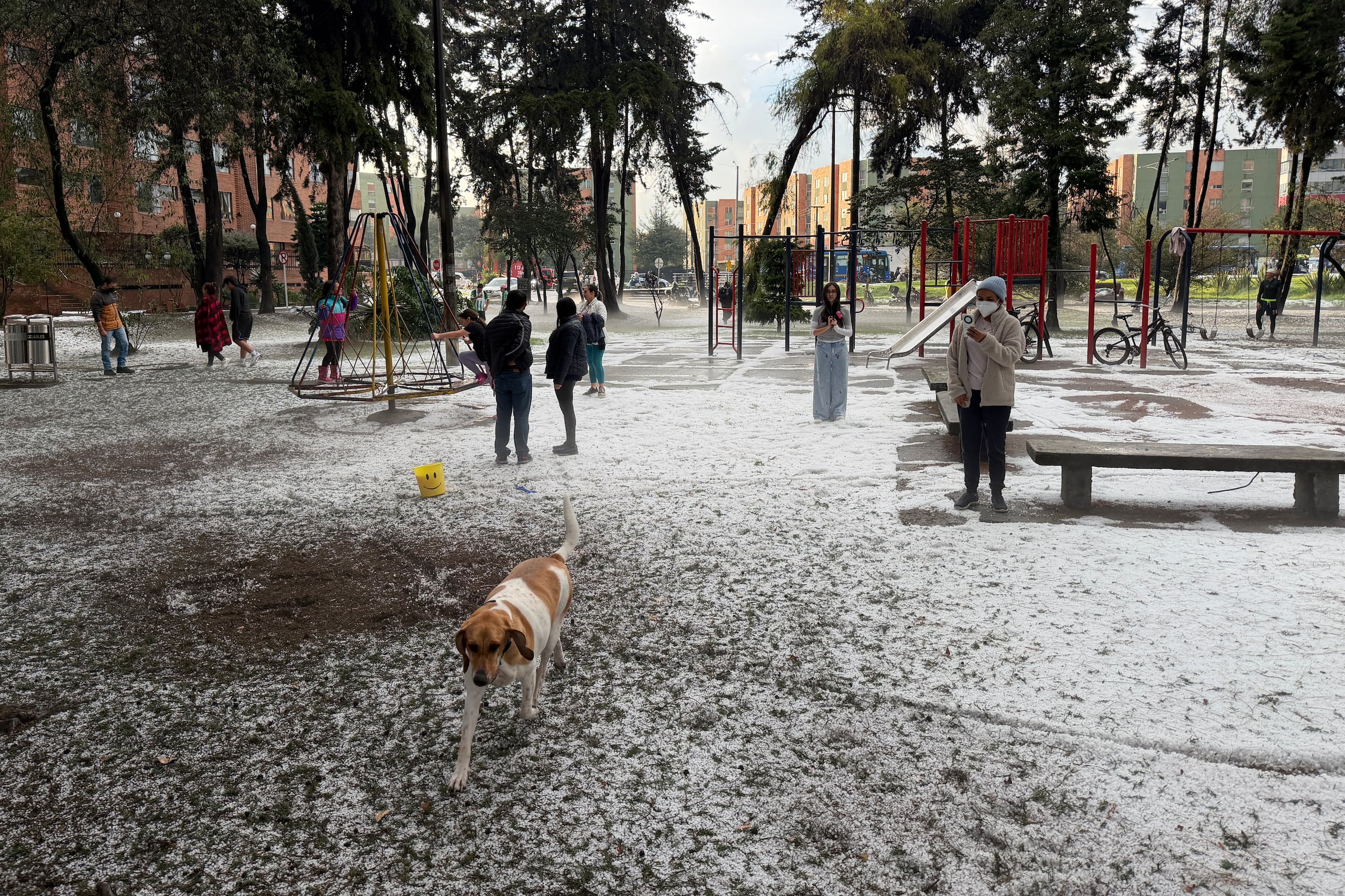 Vista general de un parque cubierto de granizo este 5 de octubre en Bogotá (Colombia). EFE/Juan Diego López