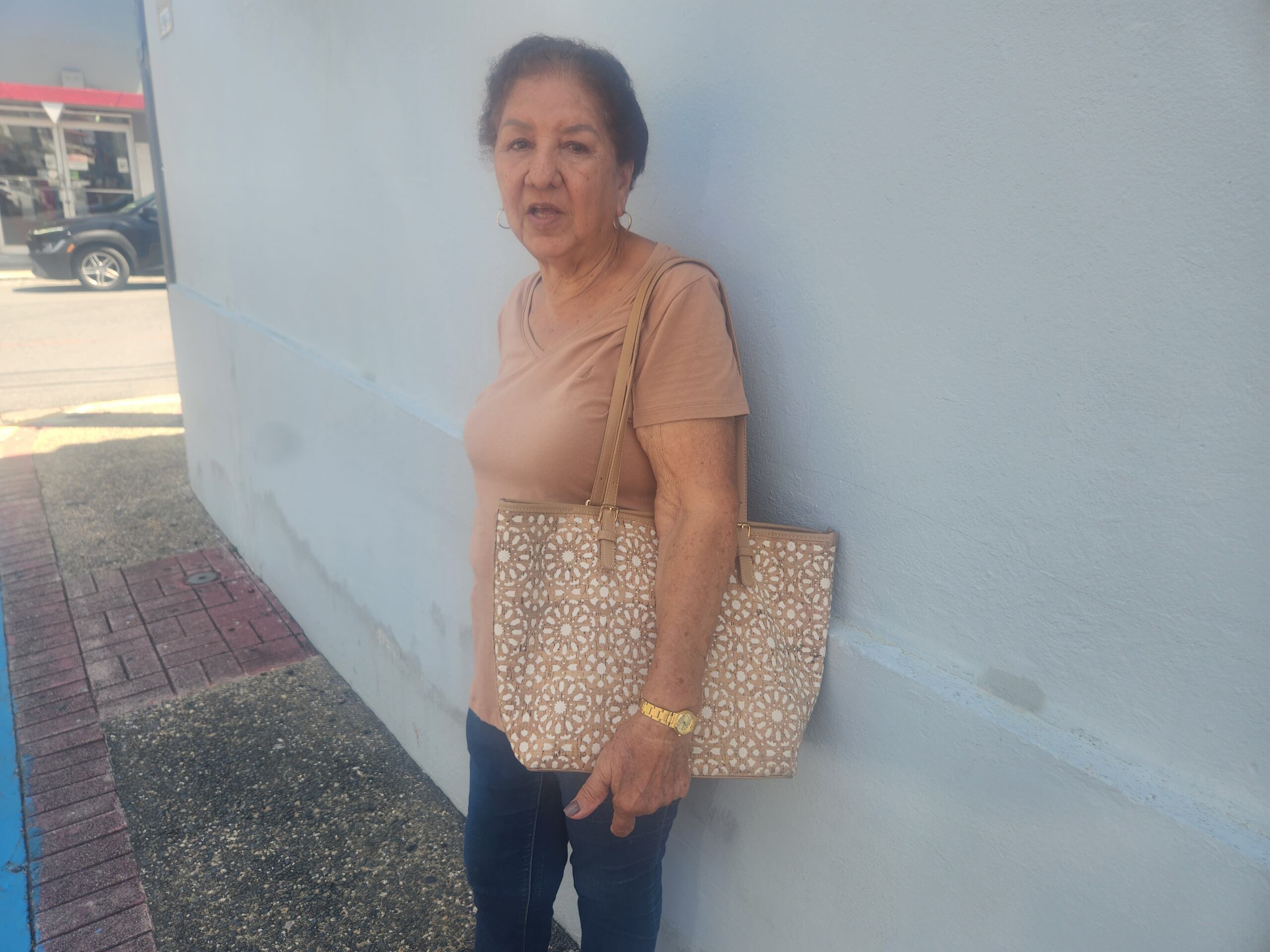 Luz Nereida Hermina Santiago