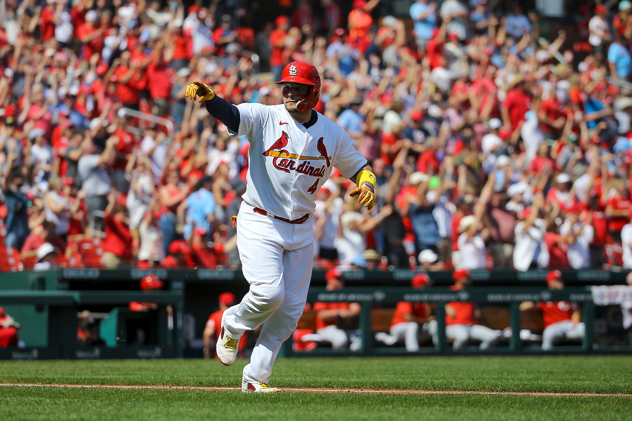 Yadier Molina es considerado una segura elección para el Salón de la Fama del Béisbol y para el Pabellón de la Fama del Deporte Puertorriqueño.