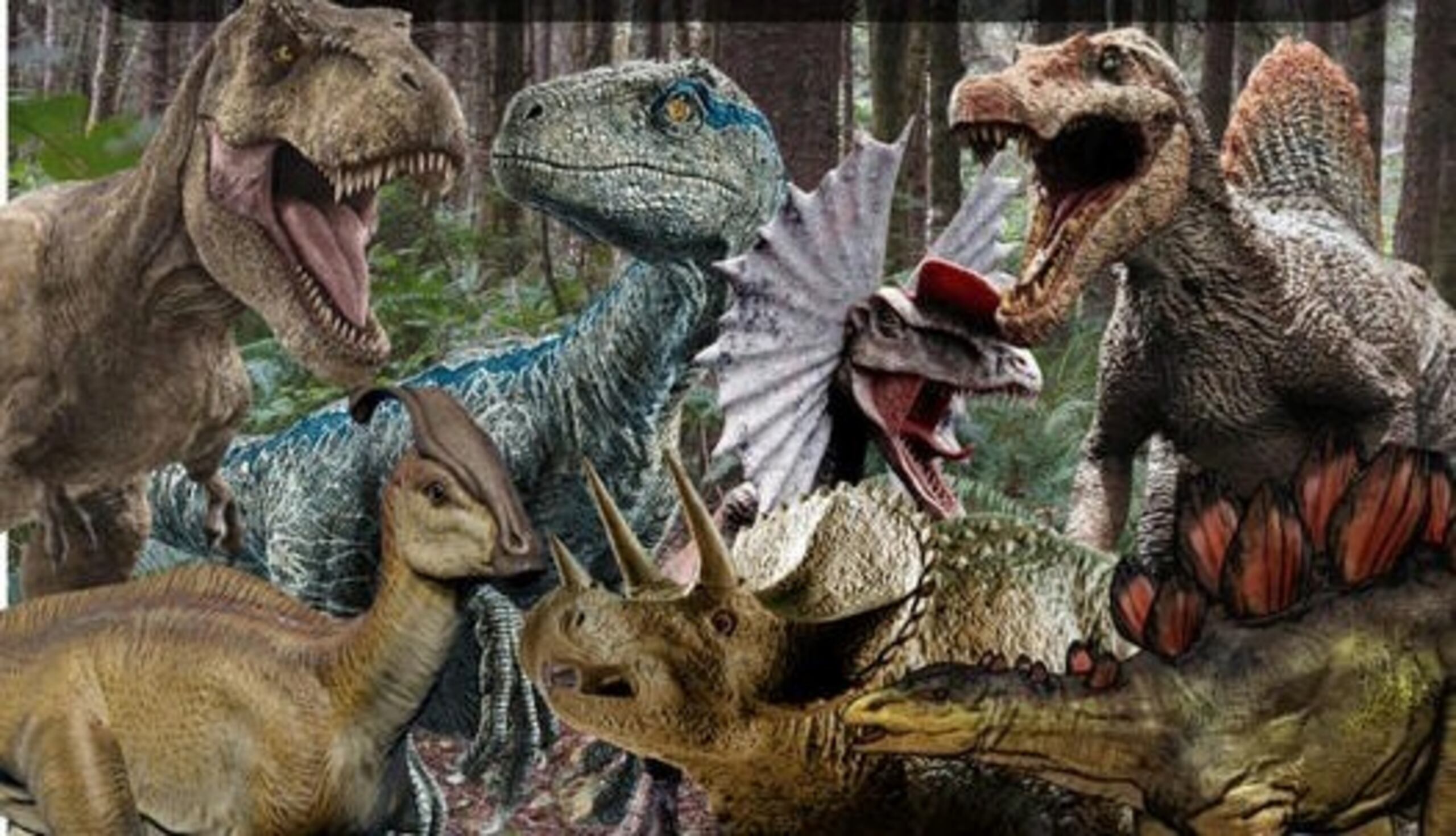 Contará con funciones en Bayamón, Ponce y Mayagüez.