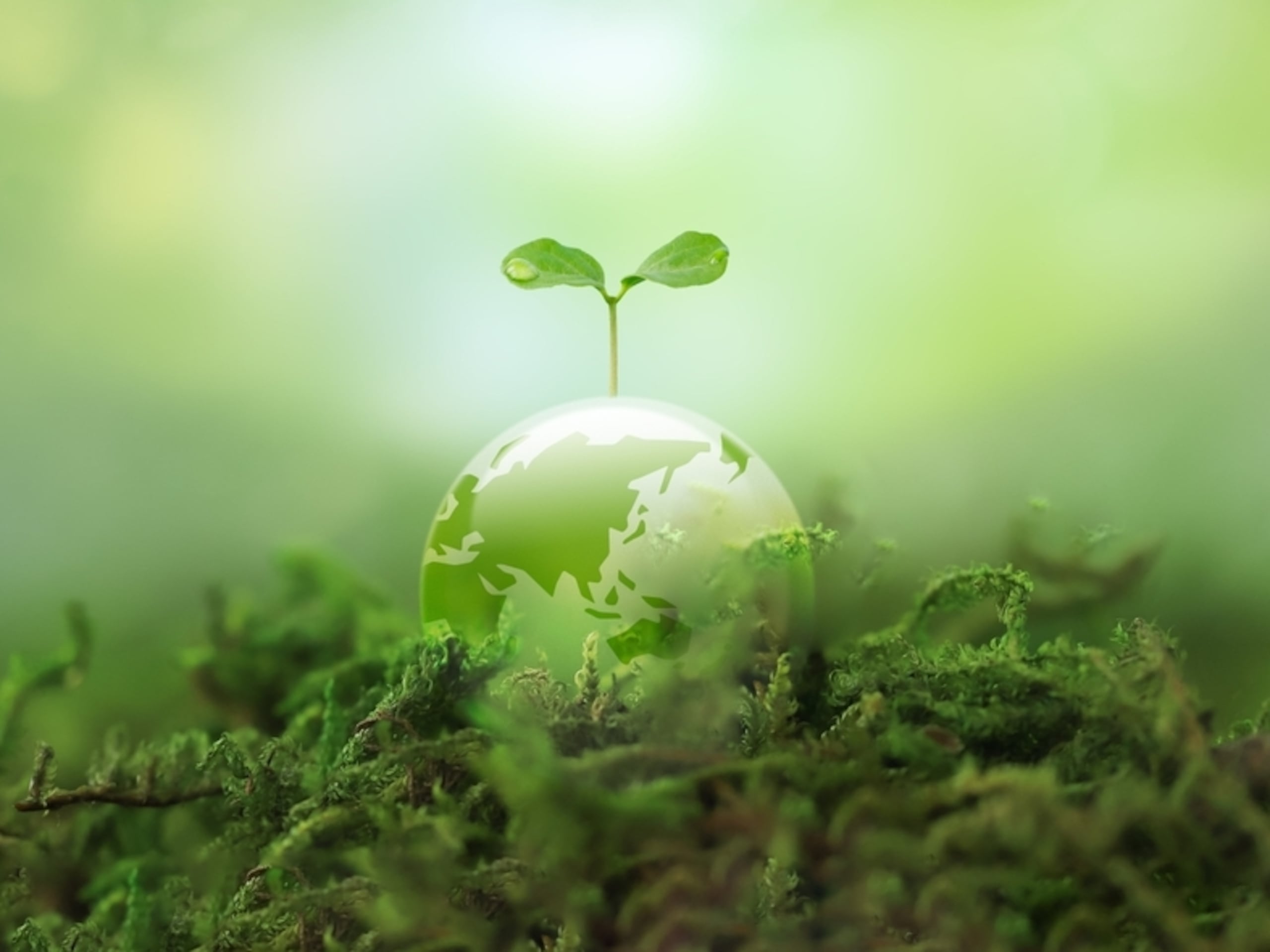 Las continuas olas de calor, el aumento en el nivel del mar y el desarrollo de sistemas atmosféricos extremos representan parte de la situación que afecta adversamente a las comunidades en desventaja, especialmente niños, adultos mayores y personas con enfermedades crónicas.