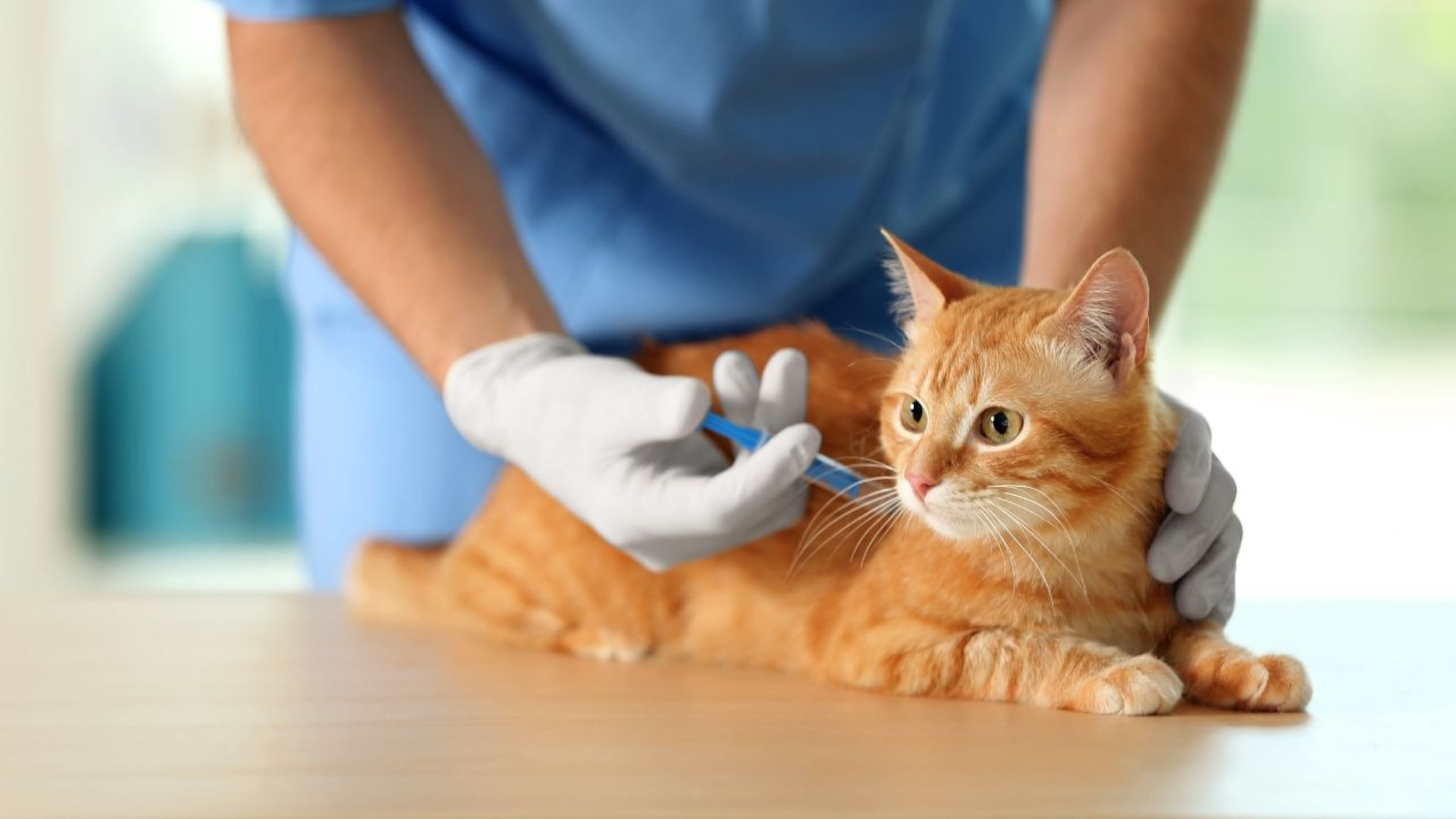 El evento será mañana, viernes, en horario de 10:00 a.m. a 2:00 p.m.