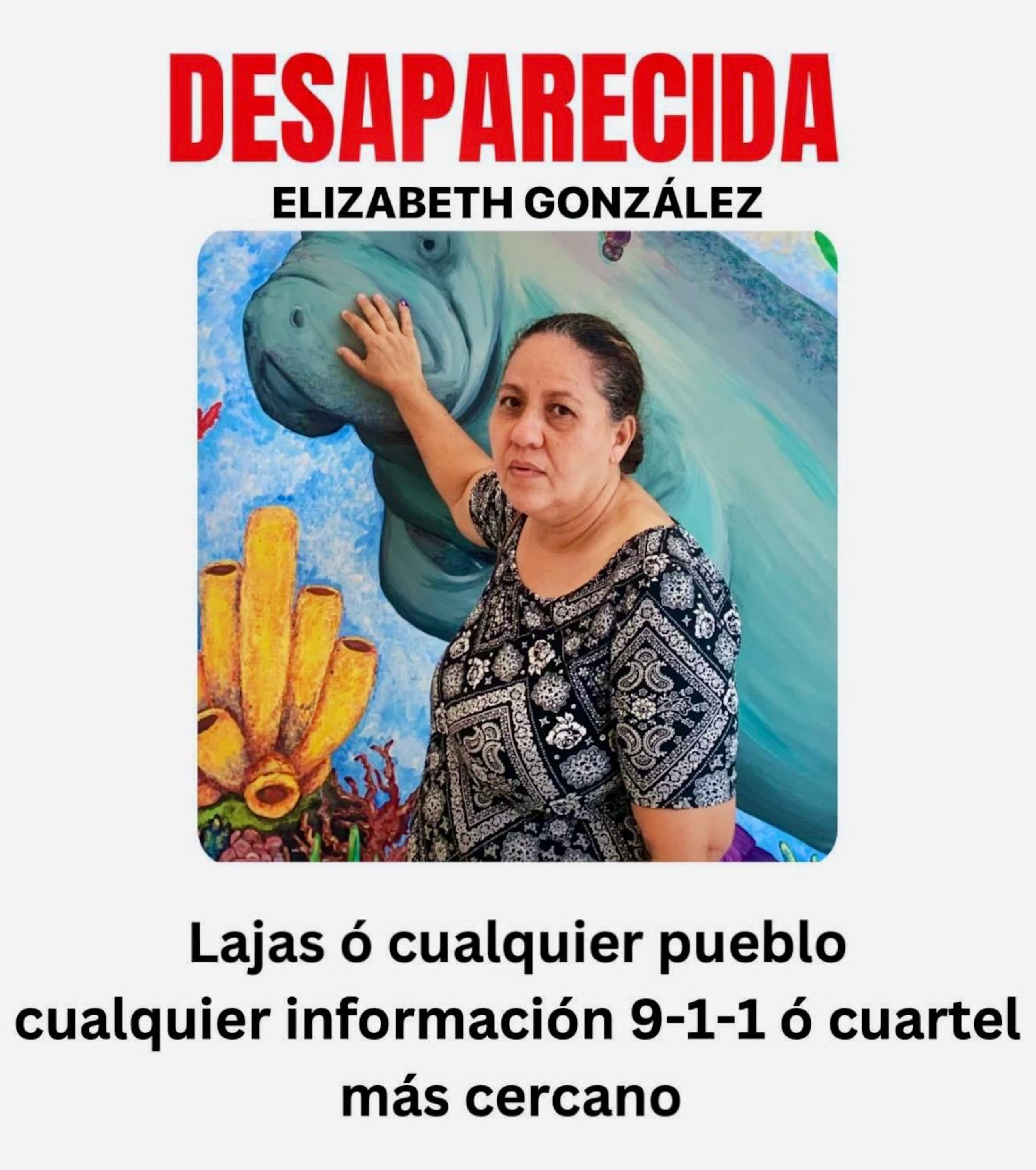 Elizabeth Judy González Toro fue vista por última vez en el barrio París, en Lajas, el 26 de septiembre, temprano en el día.