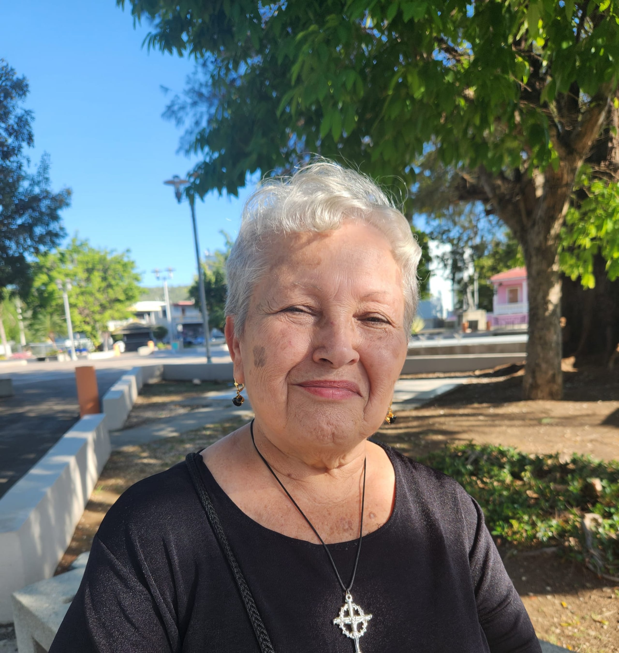 Nellie Santiago