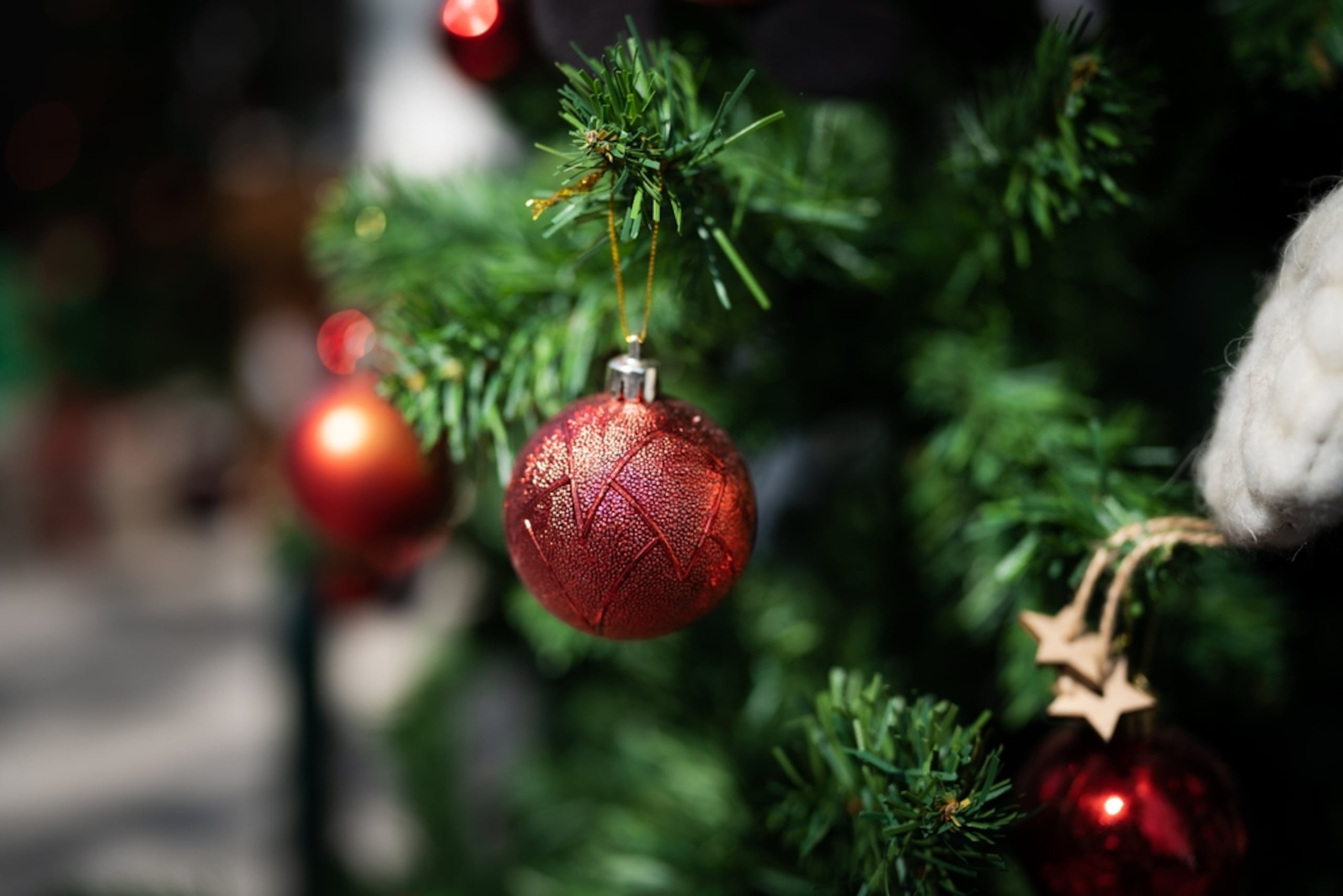 Es hoy a partir de las 5:30 p.m. en el Parque Luis Muñoz Marín.