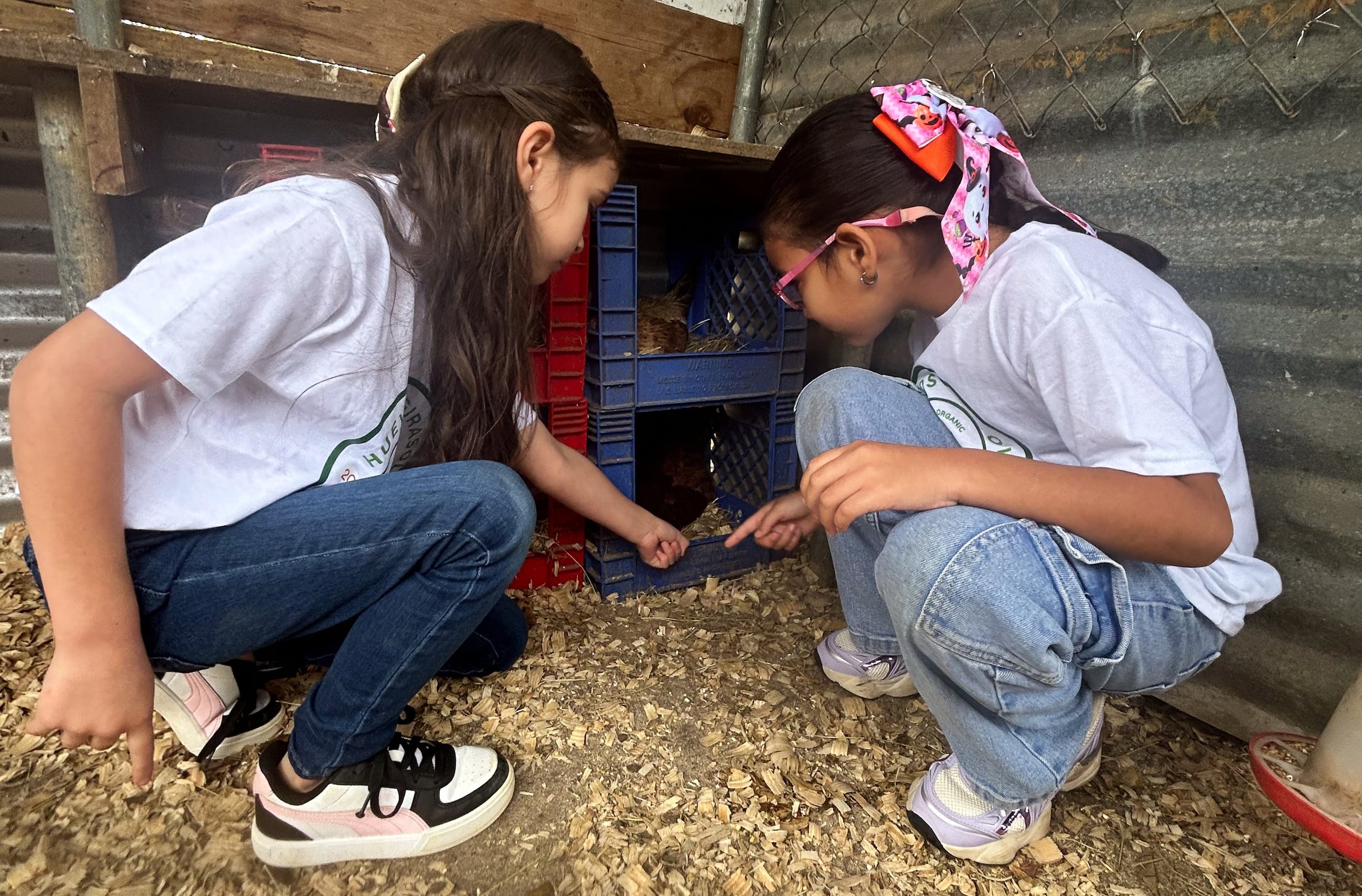 Quienes interesen hacer una donación pueden canalizarla a través del Instituto Nueva Escuela, llamando al (787) 758-7766.