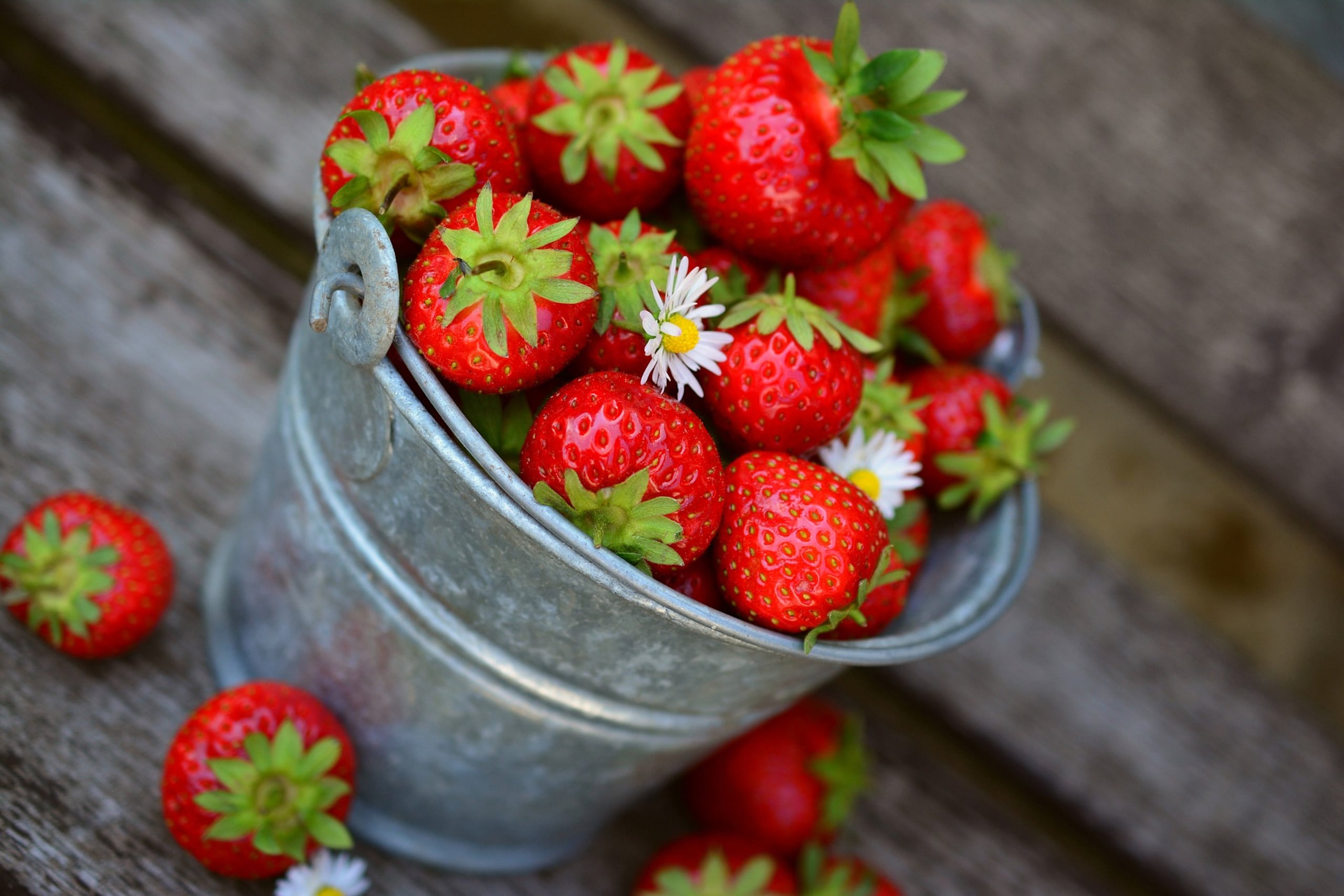 Las frutas ácidas como las fresas ocasionan gases en el estómago y contribuyen a la inflamación del intestino grueso. (congerdesign / Pixabay)