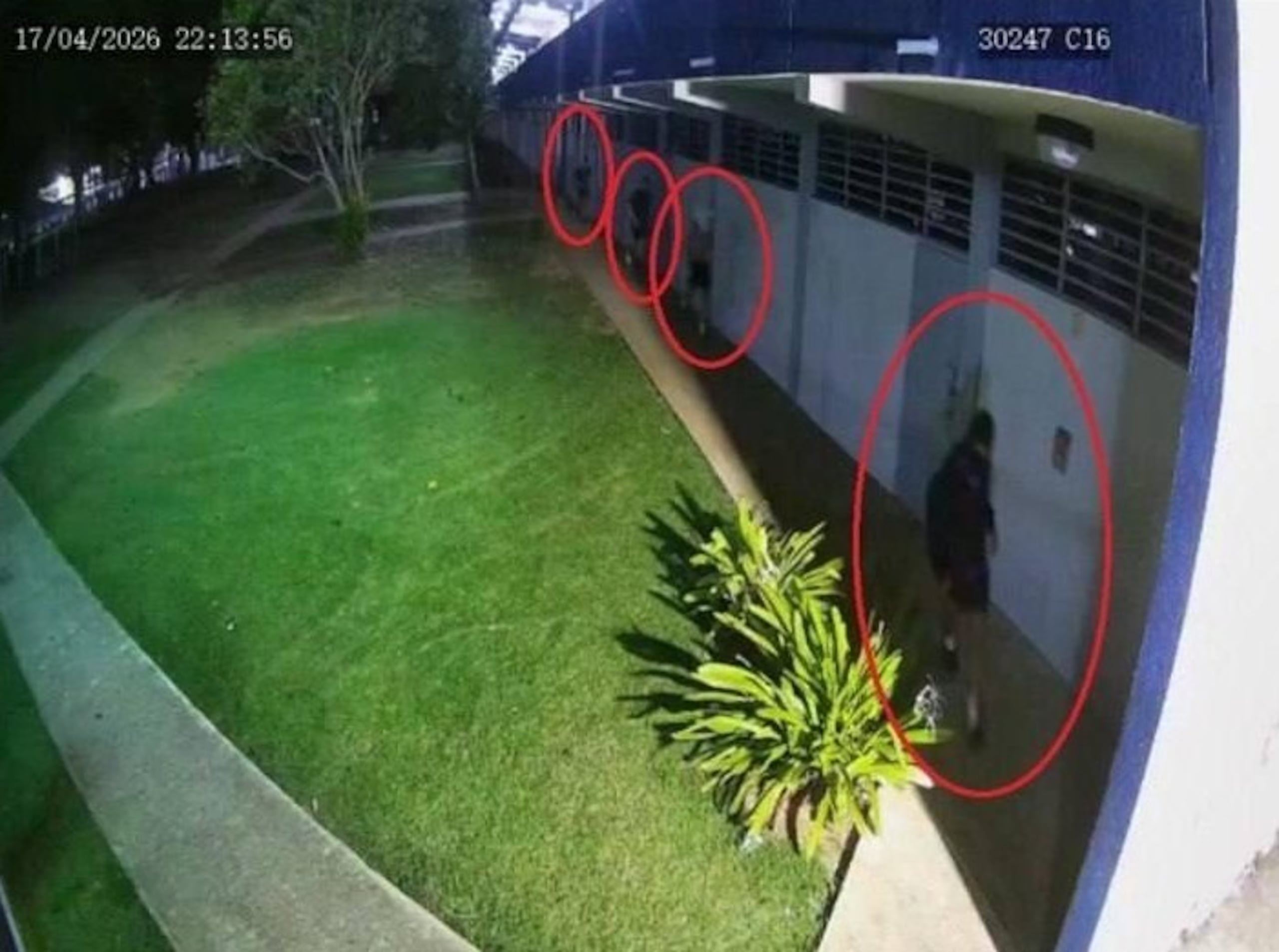 Momento en que los individuos fueron captados durante el escalamiento a la escuela Doctor Santiago Veve Calzada, en Fajardo.