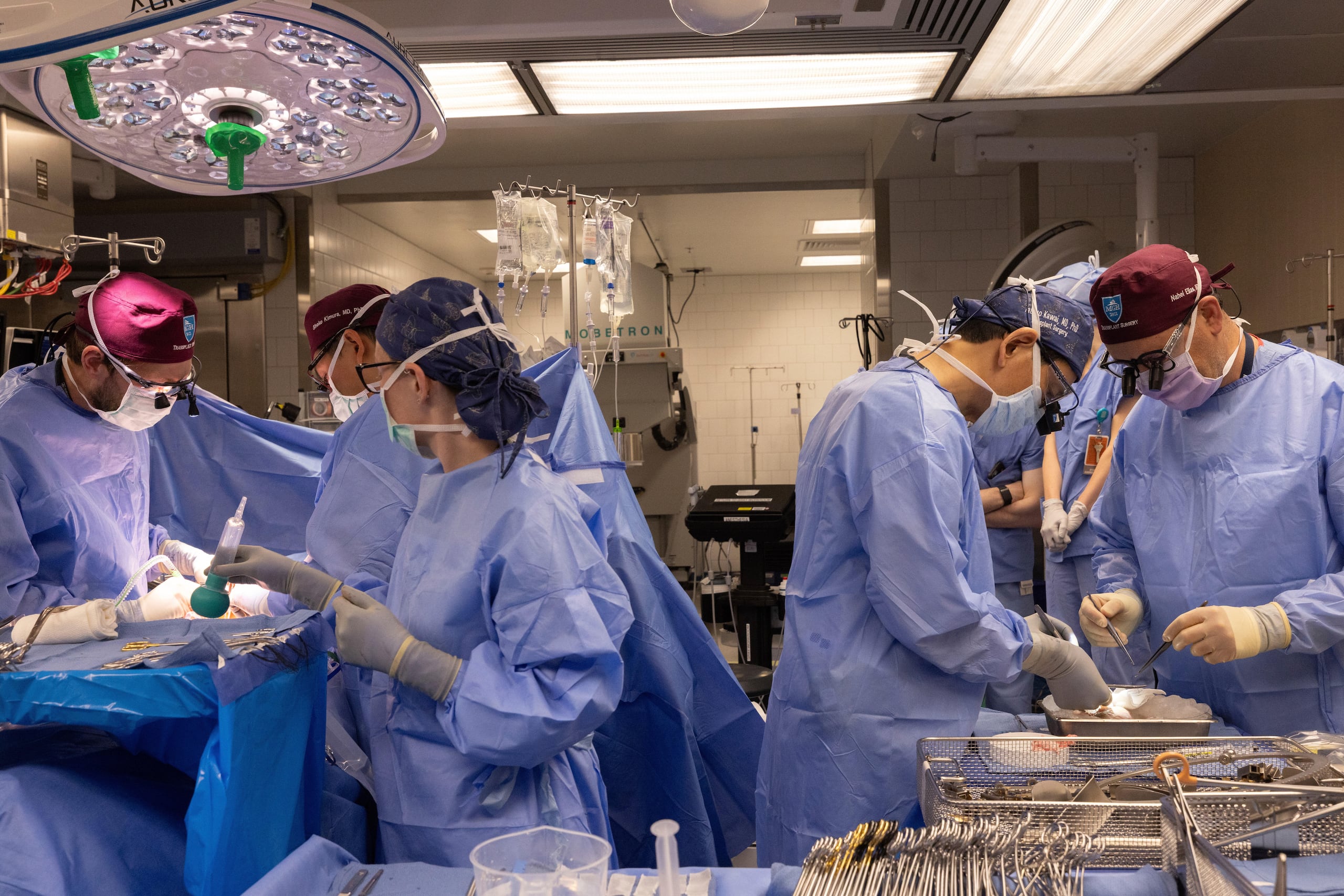 En esta foto proporcionada por Mass General Brigham, los médicos realizan un xenotrasplante el 14 de junio de 2025 en el Massachusetts General Hospital en Boston.