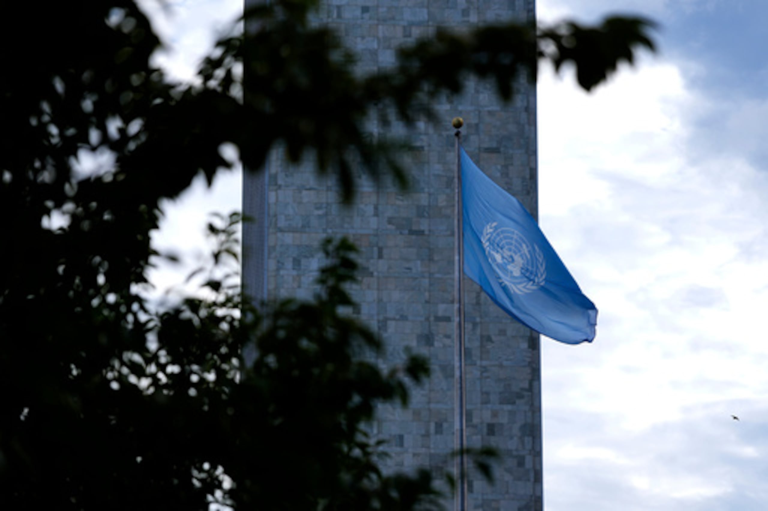 Las tensiones entre Washington y La Habana se han trasladado a foros públicos en Naciones Unidas. El martes, Waltz y Rodríguez se enzarzaron en un intercambio de gritos en el pleno de la Asamblea General mientras debatían la resolución sobre el embargo.