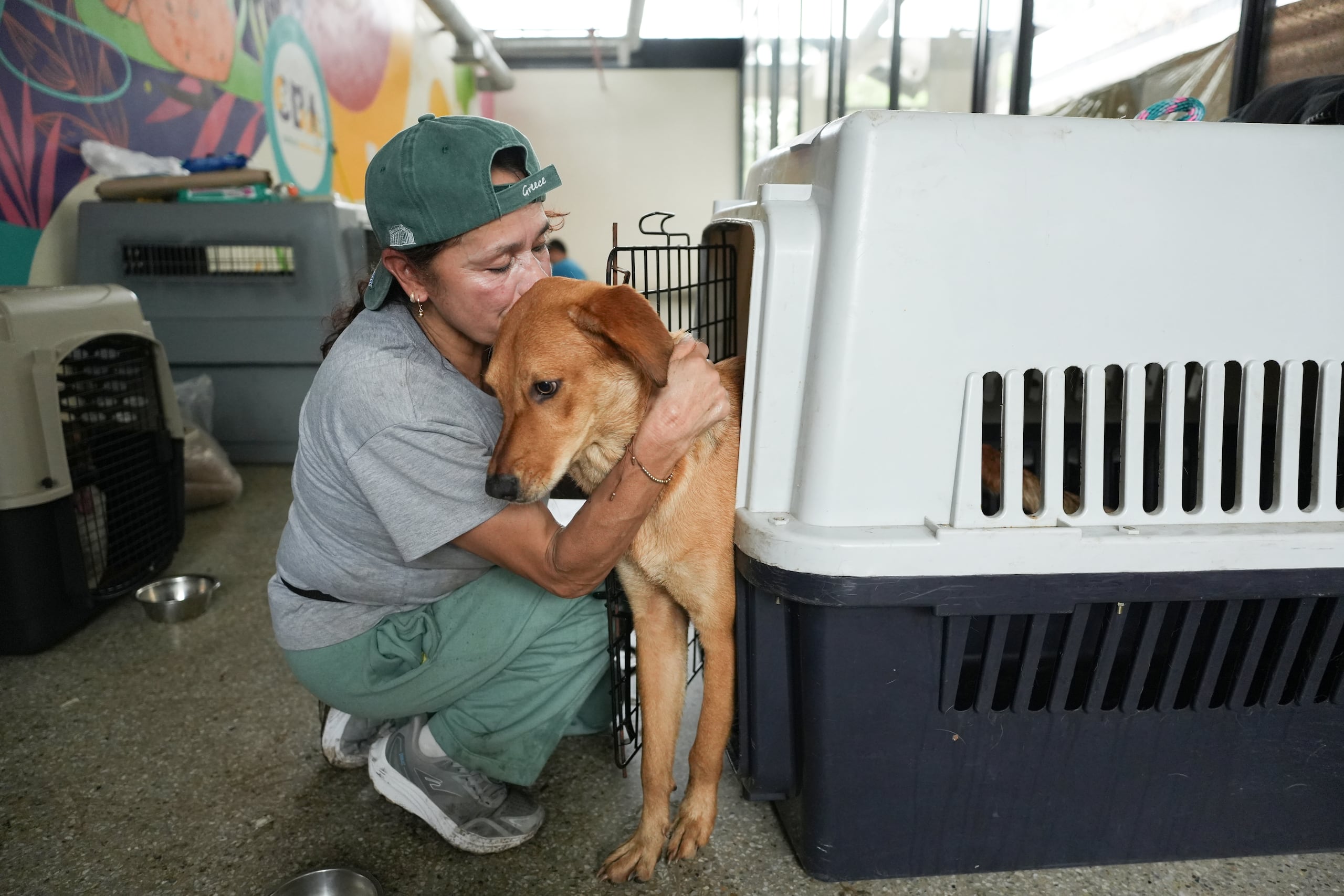 Una mujer abraza a un perro en el Centro de Bienestar Animal (CBA) este miércoles, en Cali (Colombia). (EFE/ Ernesto Guzmán)