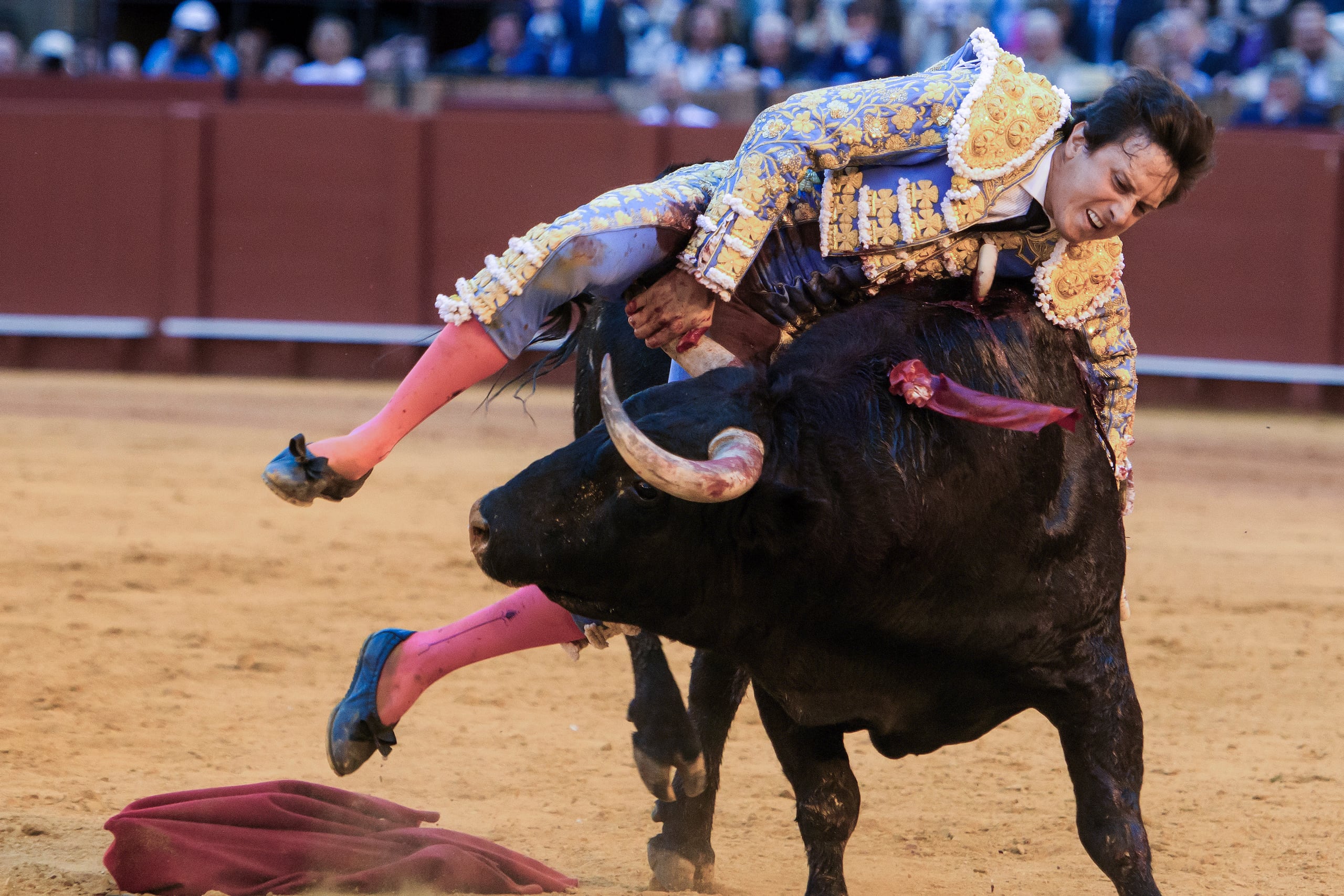 El diestro Roca Rey fue cogido al entrar a matar al quinto toro de la corrida de este jueves de la Feria de Abril de Sevilla, y sufrio una cornada en el muslo derecho con dos trayectorias que suman 35 centímetros, en la Plaza de Toros de La Maestranza de Sevilla. EFE/ Raúl Caro