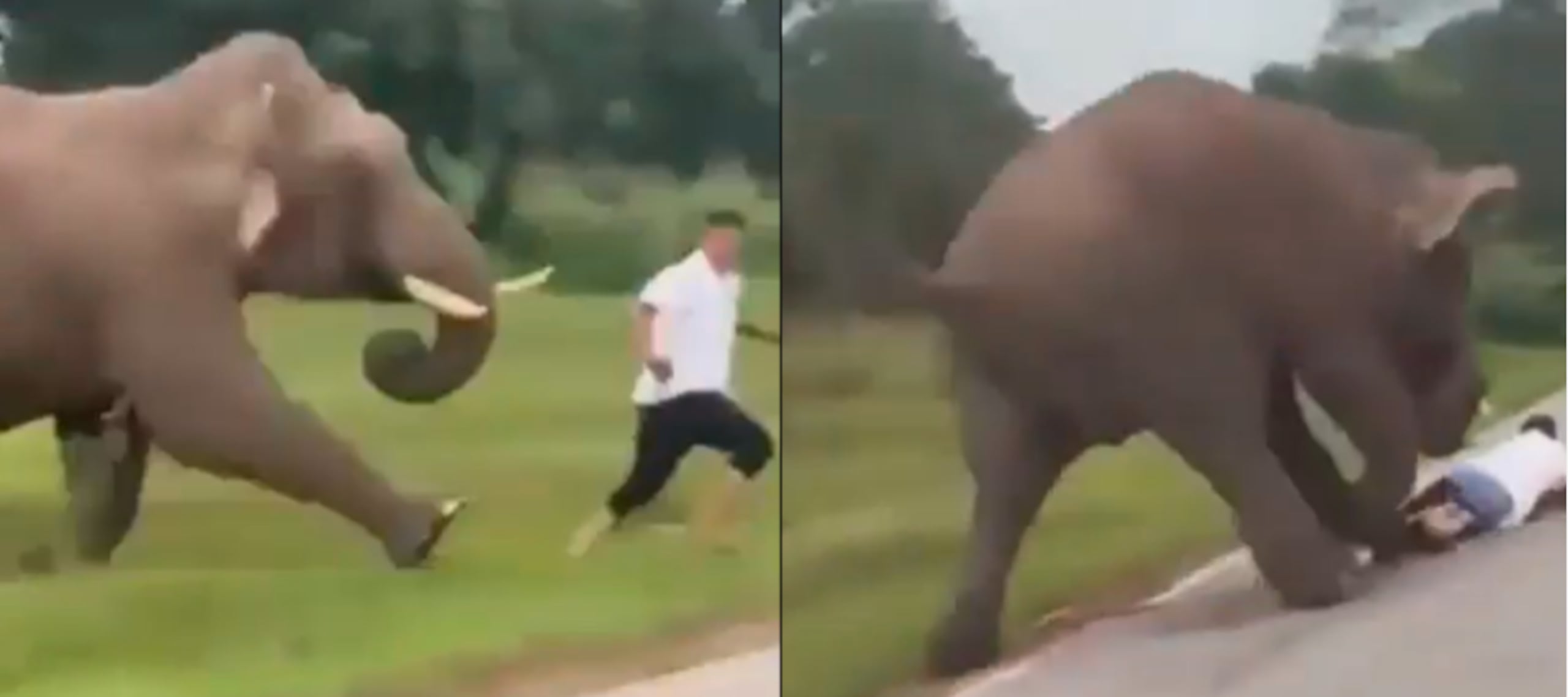 El hombre tendrá que pagar una multa.
