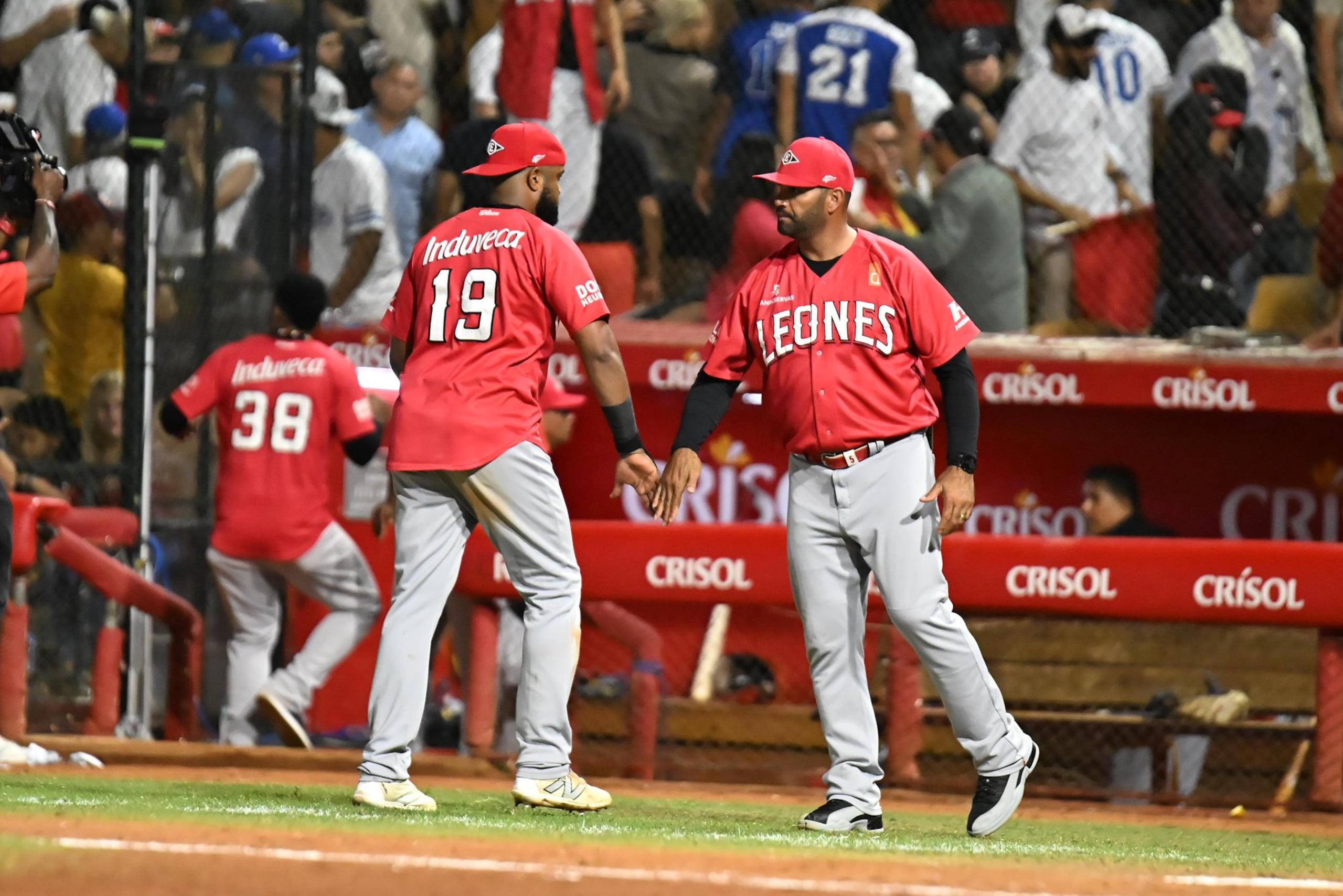 Albert Pujols, a la derecha, ganó el título con los Leones en su primera temporada como mánager en la liga dominicana.