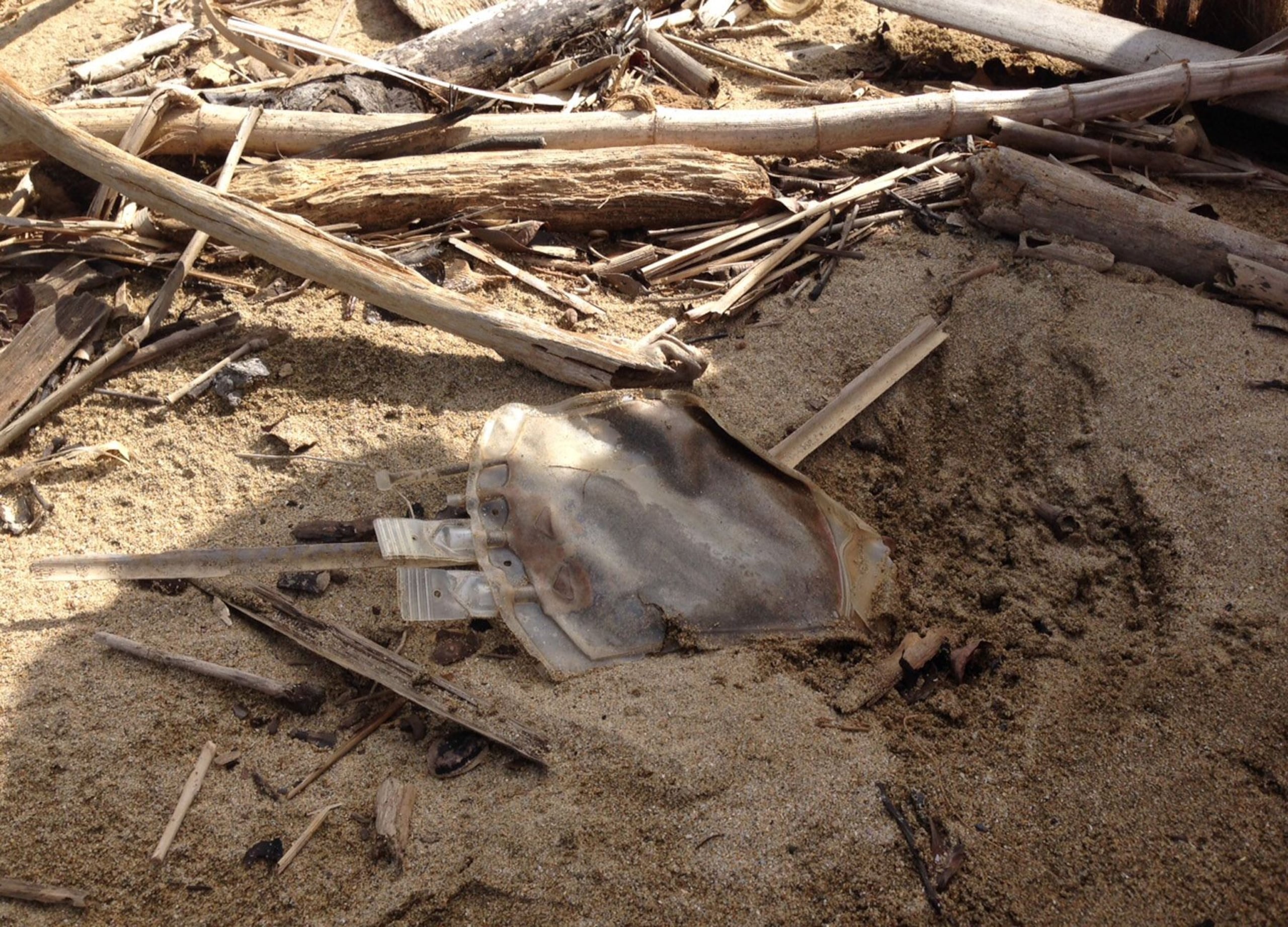 Bolsas de desechos biomédicos halladas en el área de las desembocadura del Río Grande de Añasco. (Archivo / GFR Media)