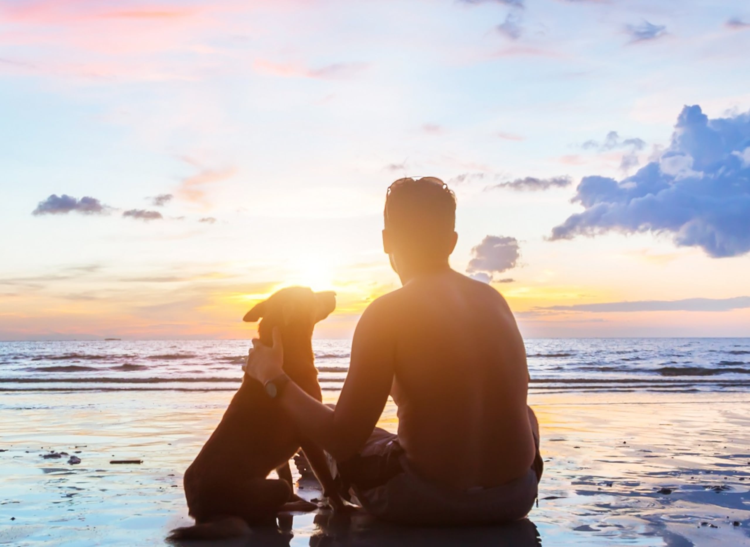 Durante la época festiva puede aflorar la nostalgia por la muerte de una mascota.