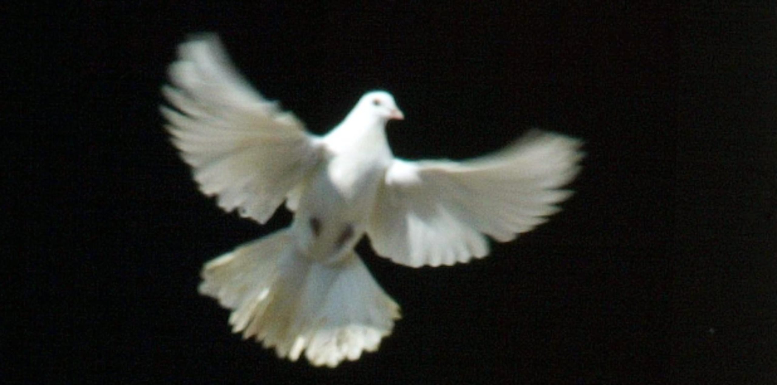 Pedir por la paz del mundo debe ser nuestra primera línea de oración todos los días. (Archivo)