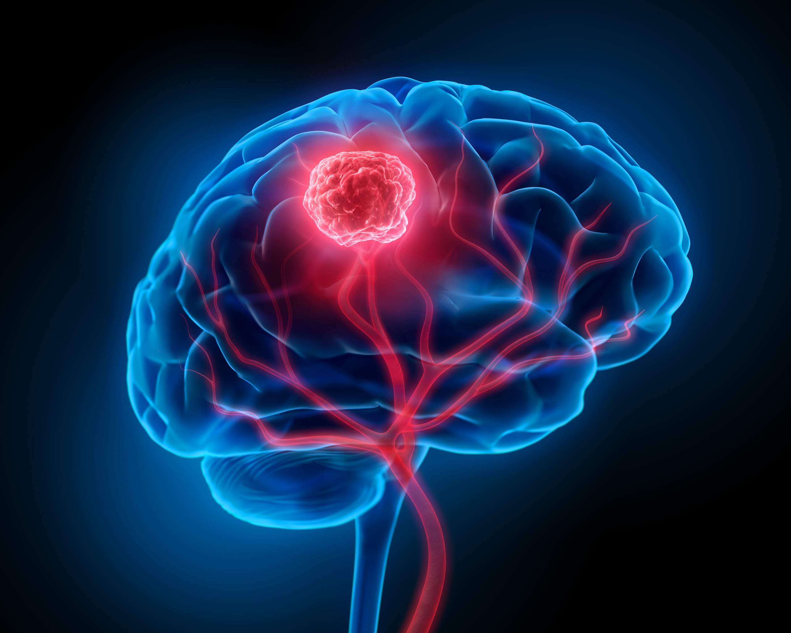 Los hallazgos indican que las características funcionales del cerebro que varían entre sexos tienen importantes implicaciones conductuales.