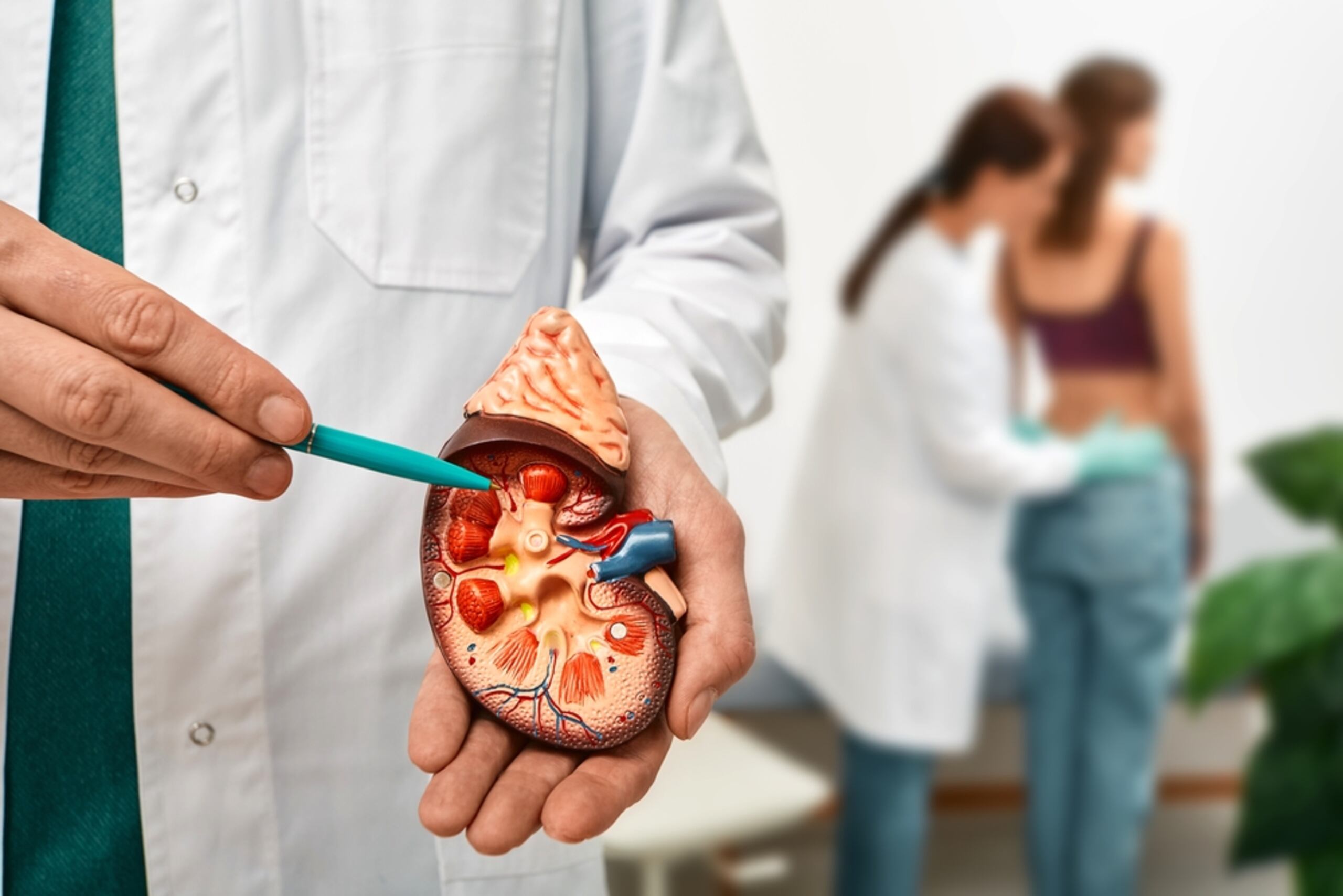 La prevalencia de la enfermedad renal crónica en Puerto Rico es alta, al igual que la diabetes, una de las causas más comunes de enfermedad renal.