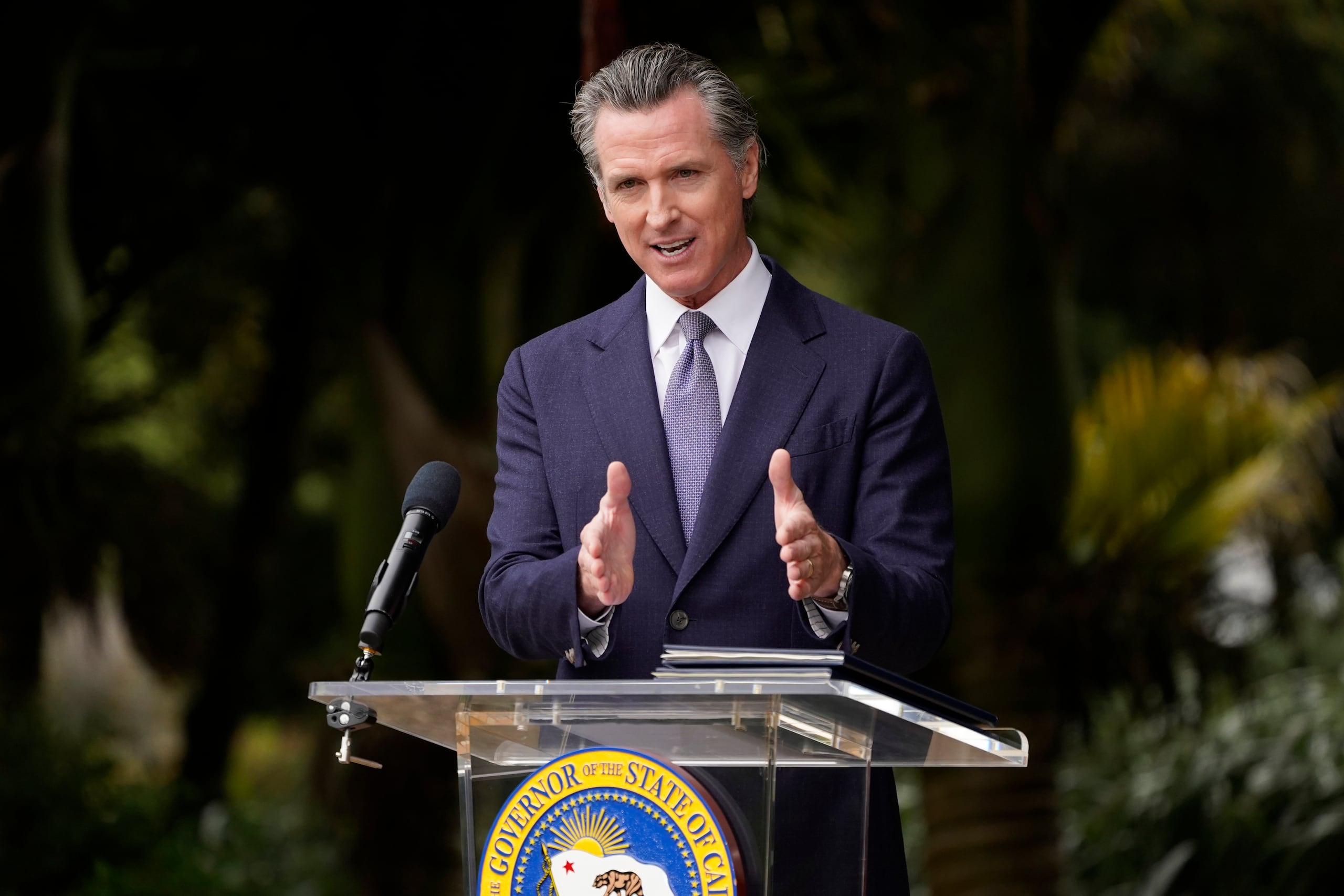 Gavin Newsom, gobernador del estado de California.