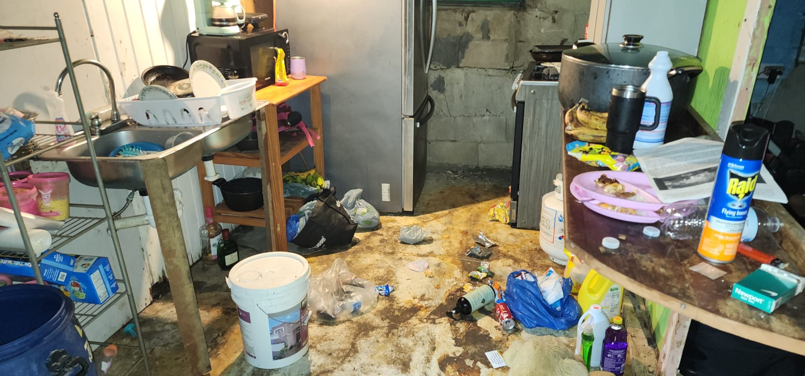 Cinco niños entre los dos meses y los 10 años que vivían en condiciones infrahumanas fueron rescatados por agentes del Negociado de Inteligencia y Arrestos en Canóvanas.