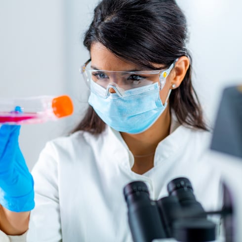 FOTOS: ¿Cuáles son los productos que más exportamos?