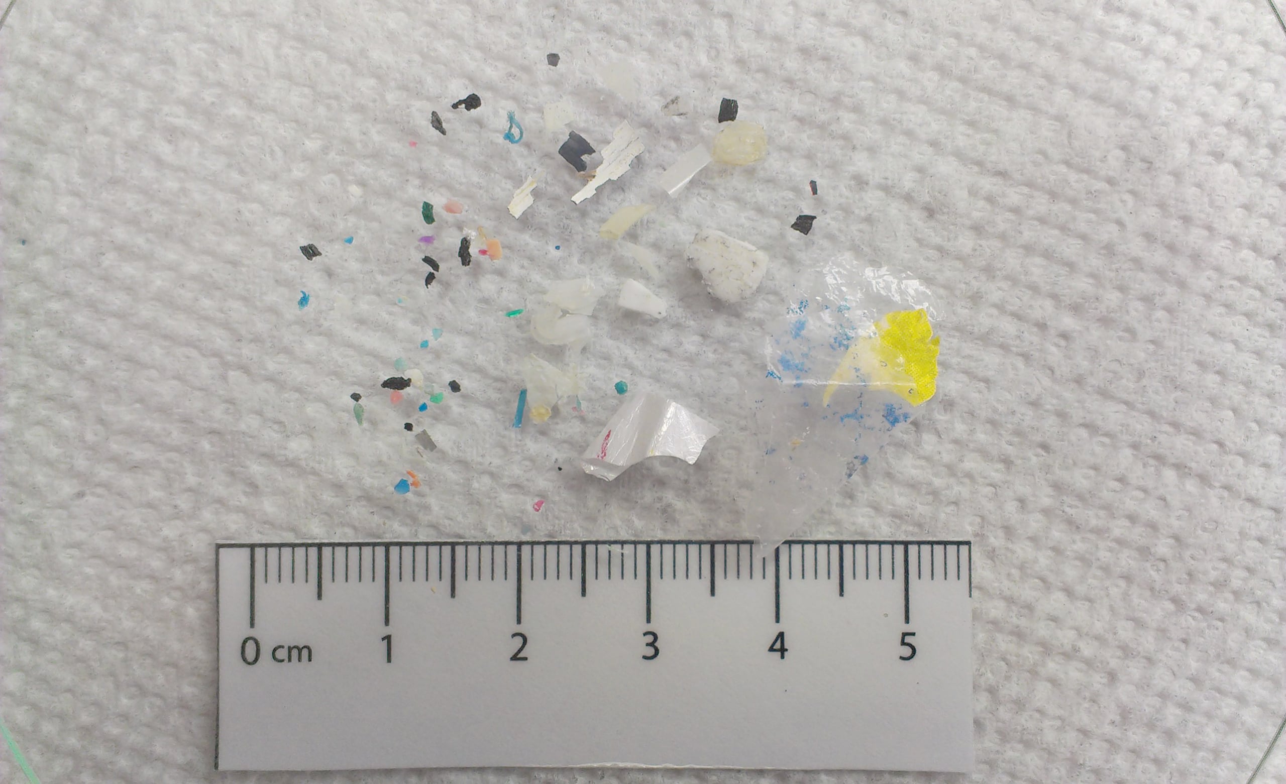 Foto de archivo de algunas partículas de microplásticos que investigadores recogieron en aguas estudiadas.