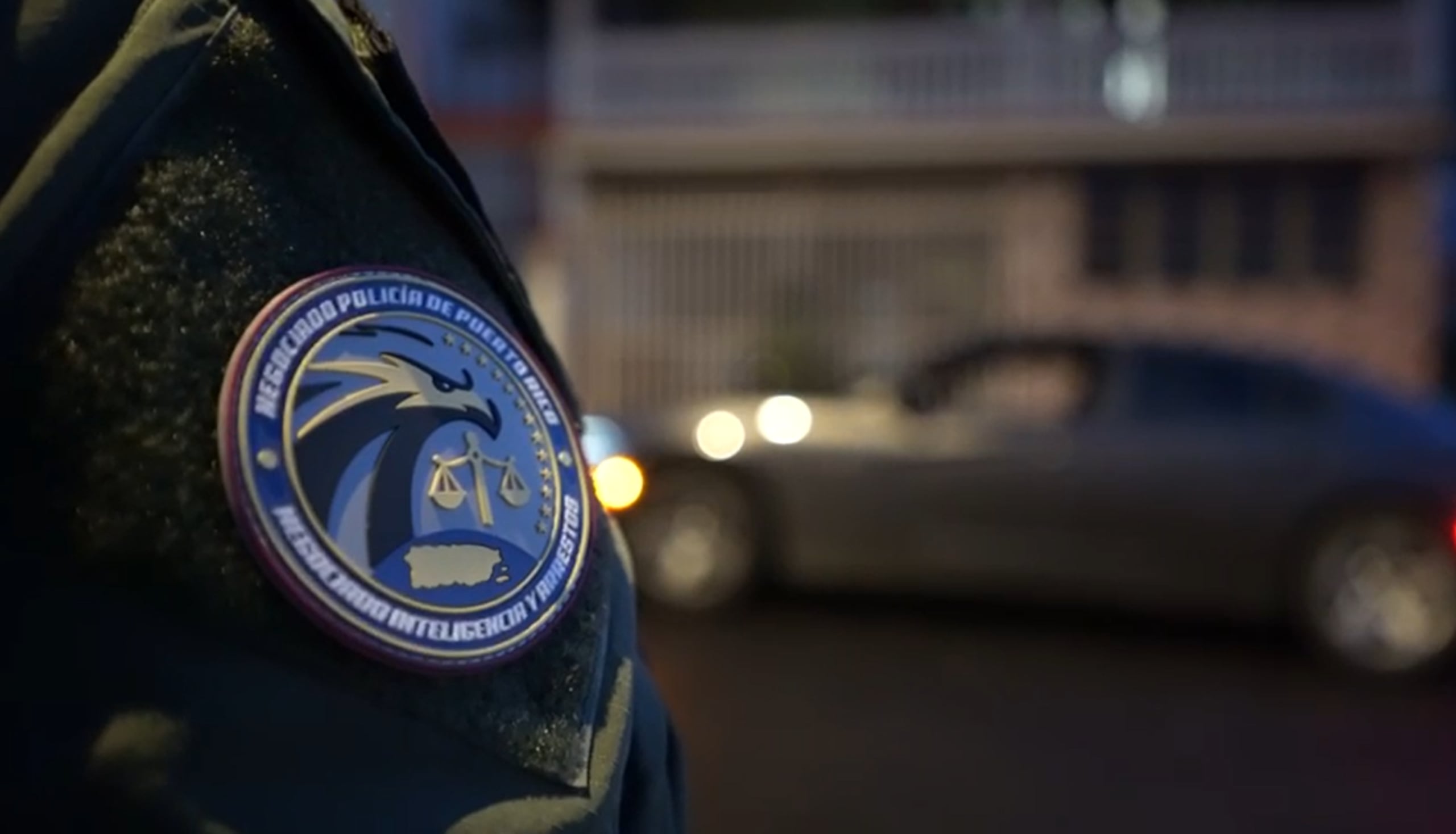 Participaron en el diligenciamiento personal de la división de Inteligencia y Arrestos Especiales de Guayama, Servicios Técnicos de Aibonito y la unidad canina de Ponce.