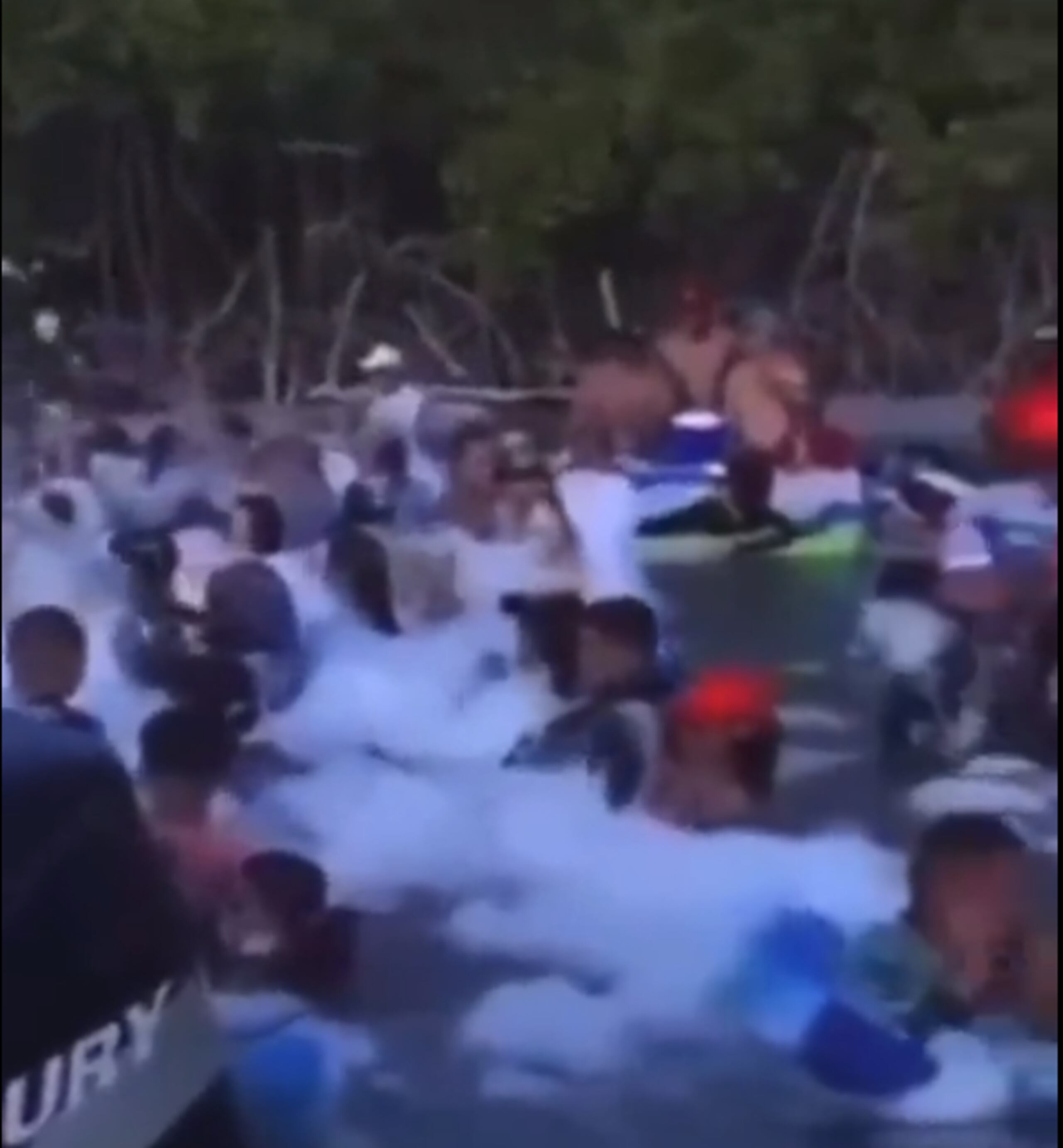 Emanuelli Hernández sostuvo que cuidar y proteger los Recursos Naturales "no es solo una obligación del Estado, sino de cada uno de los que habitamos en la Isla".