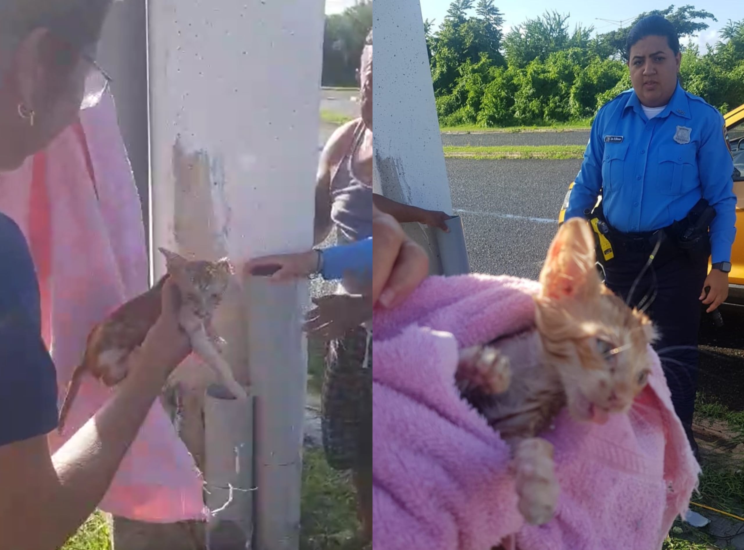 Rescate de gatito dentro de un tubo en Guayama el 23 de octubre de 2024.