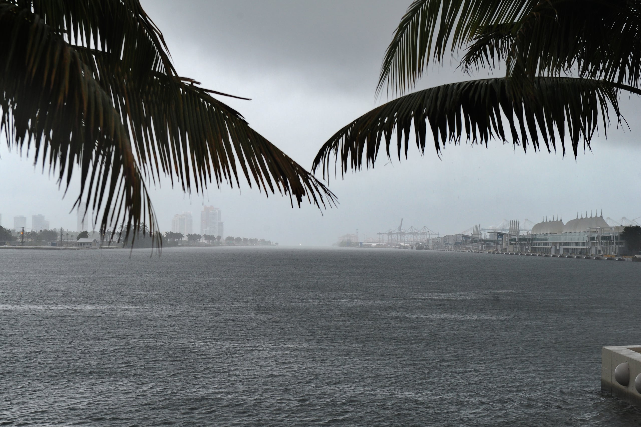 En la imagen de archivo, vista del puerto en Miami Beach, Florida (EE.UU.), a la espera de la llegada del Huracán Matthew. EFE/GIORGIO VIERA