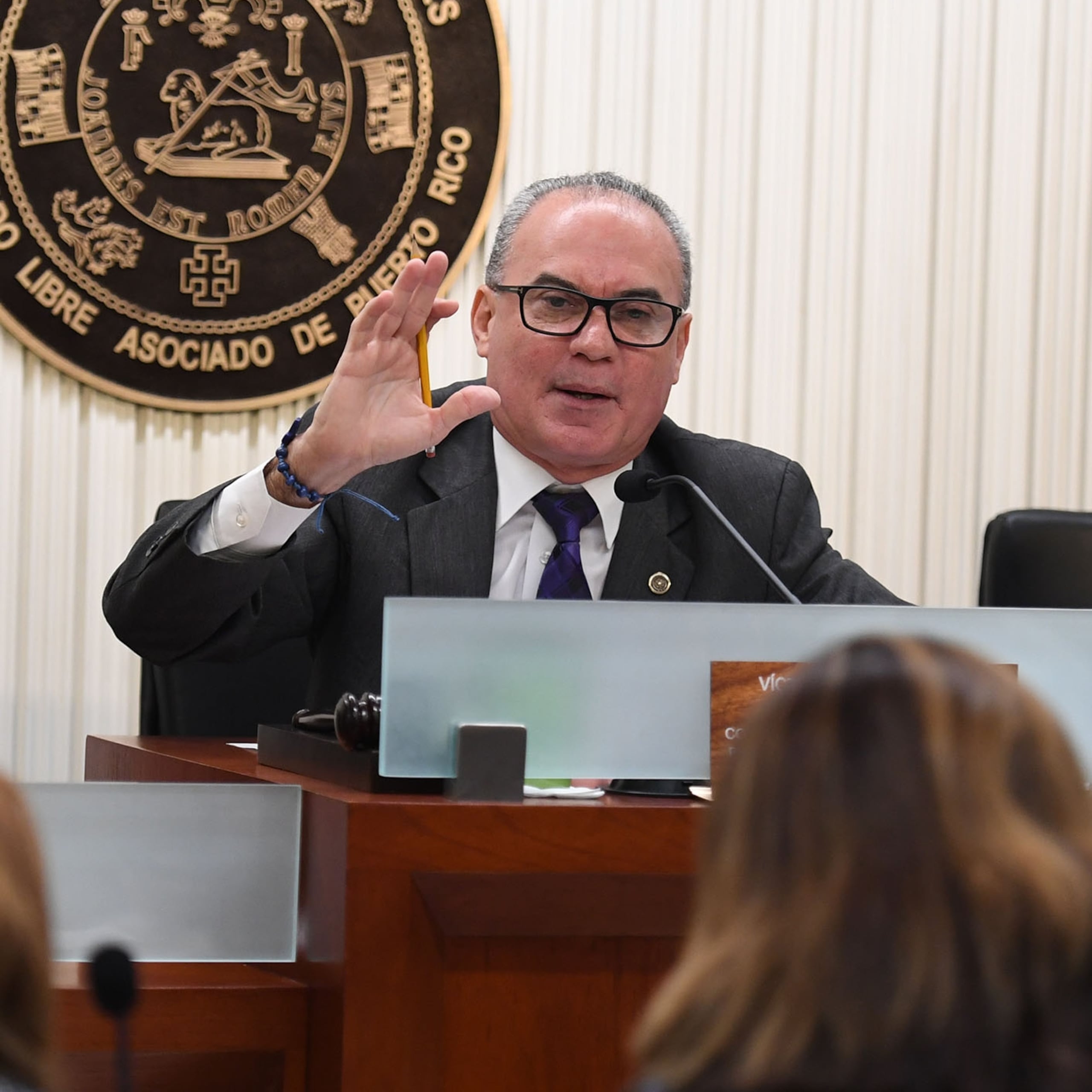 El presidente de la Comisión de Gobierno de la Cámara, Víctor Parés subrayó que existe una población de adultos mayores en Puerto Rico que no logran entender el desglose de la factura.