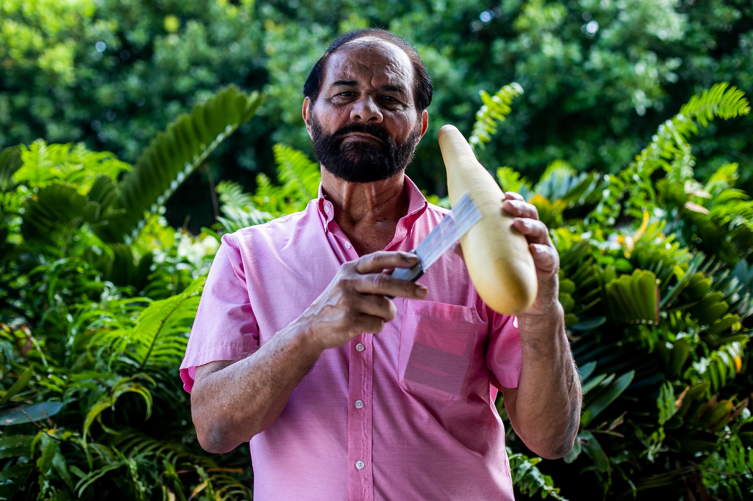 Aníbal Alvarado, fundador del festival y de la Orquesta de Gúiros de Peñuelas.