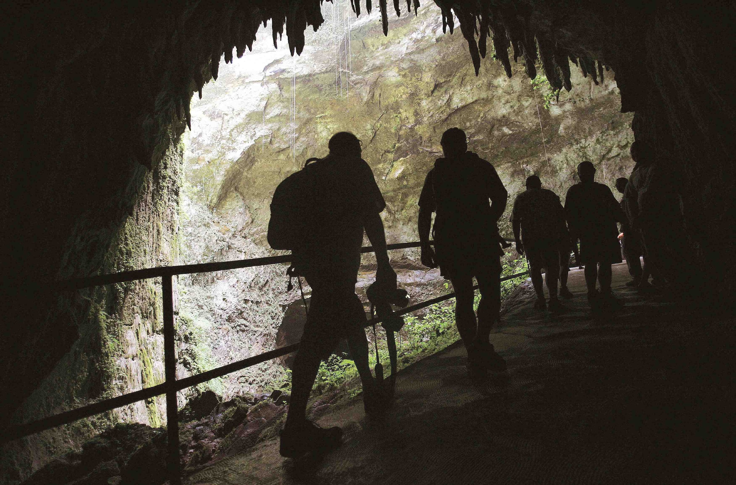Según el alcalde de Camuy, este atractivo turístico, que beneficia principalmente la economía de Camuy, Hatillo y Lares, podría ser reabierto si el gobierno central decide completar las reparaciones y reabrir las instalaciones. (GFR Media)