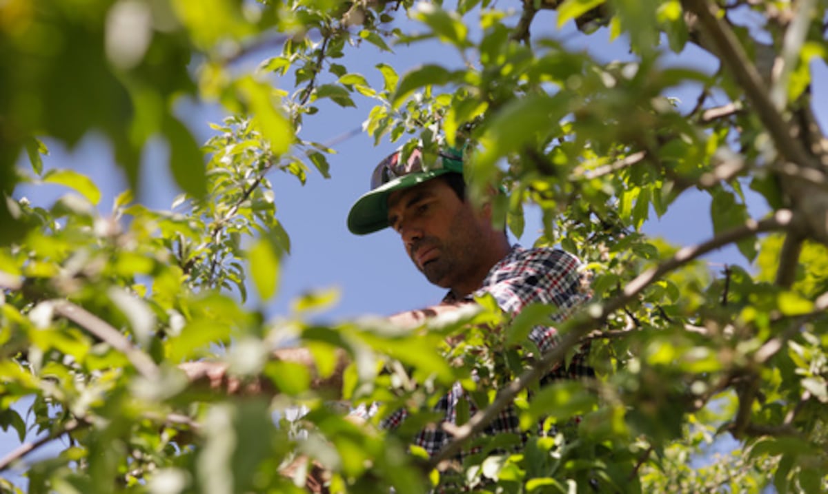 This state is the first to ban paraquat, herbicide linked to Parkinson