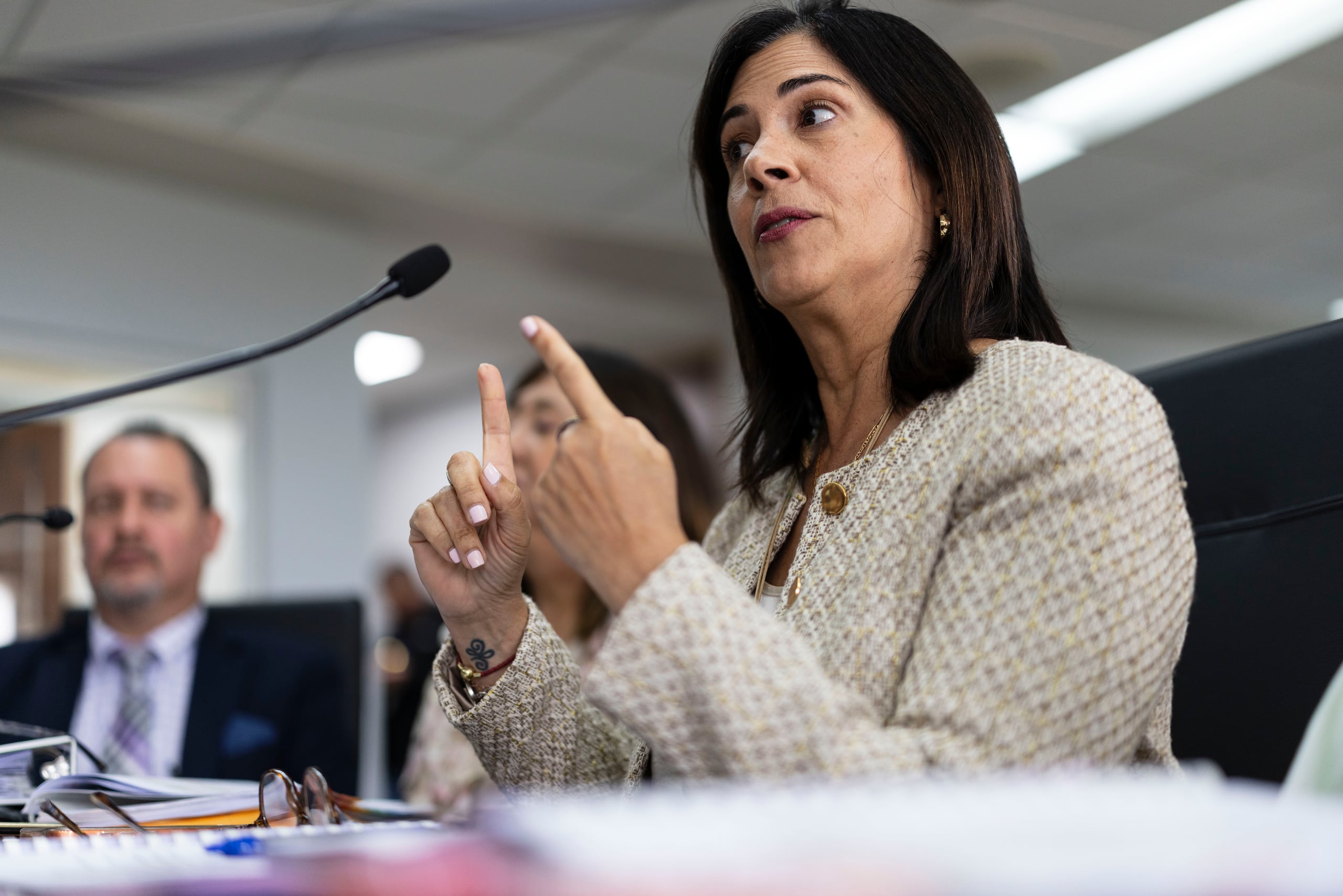En la foto La contralora Carmen Vega Fournier.
