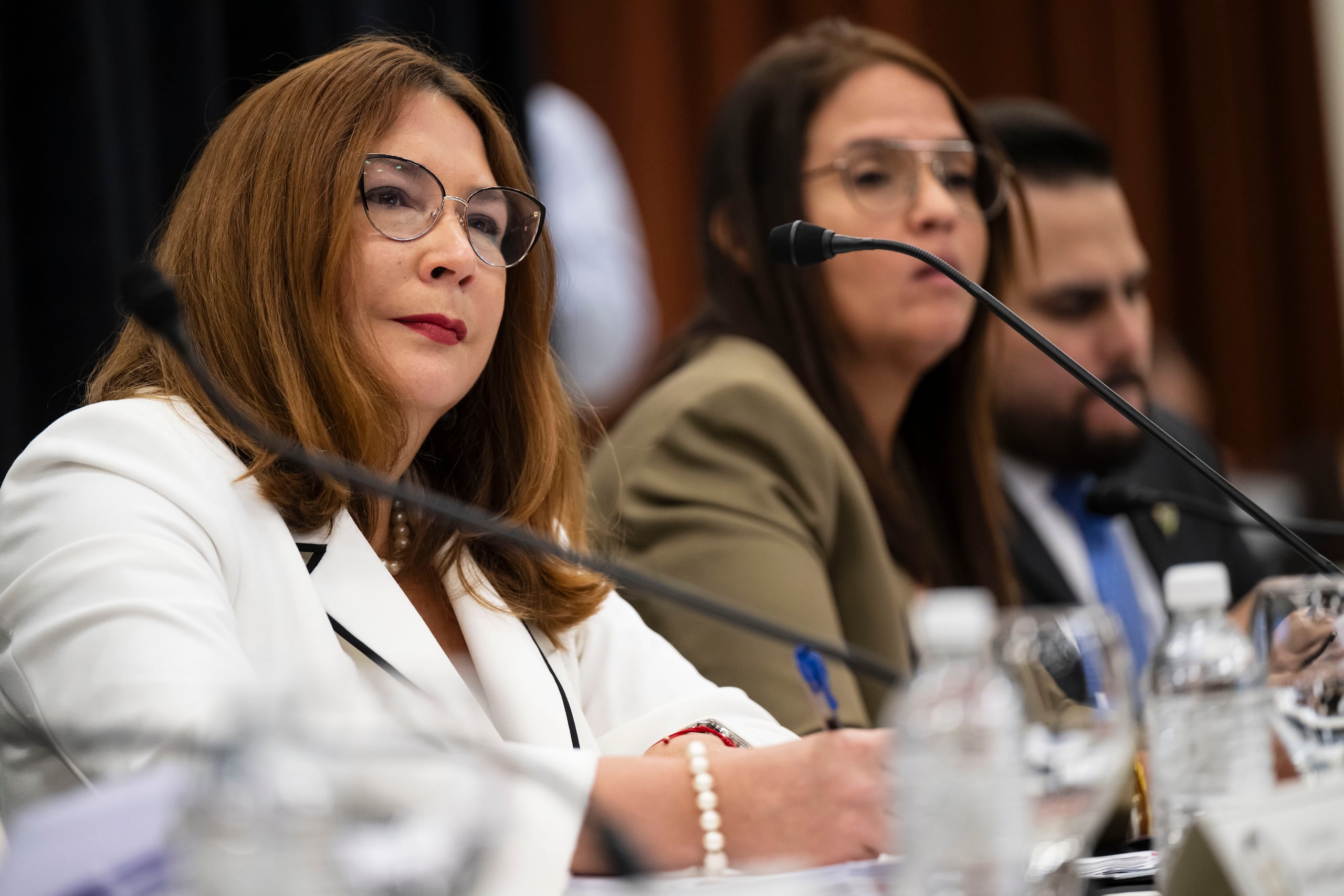 La secretaria del Departamento de la Familia, Ciení Rodríguez Troche, se presentó este miércoles en las vistas de transición.