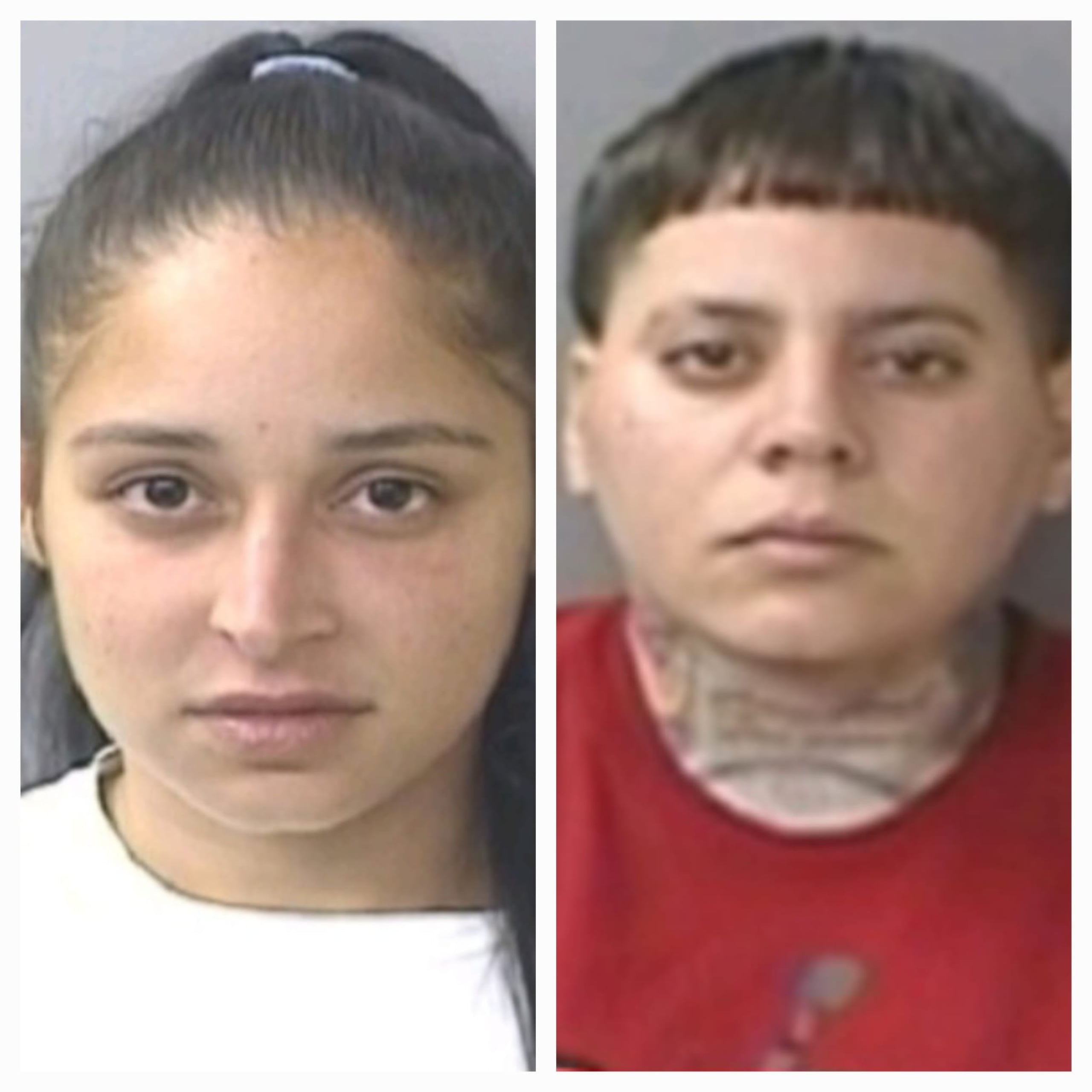 Gianna N. Ortiz Cámara y Suleyka S. Martell Valentín, enfrentan cargos por asesinato, conspiración, secuestro y violación a la Ley de Armas de Fuego.