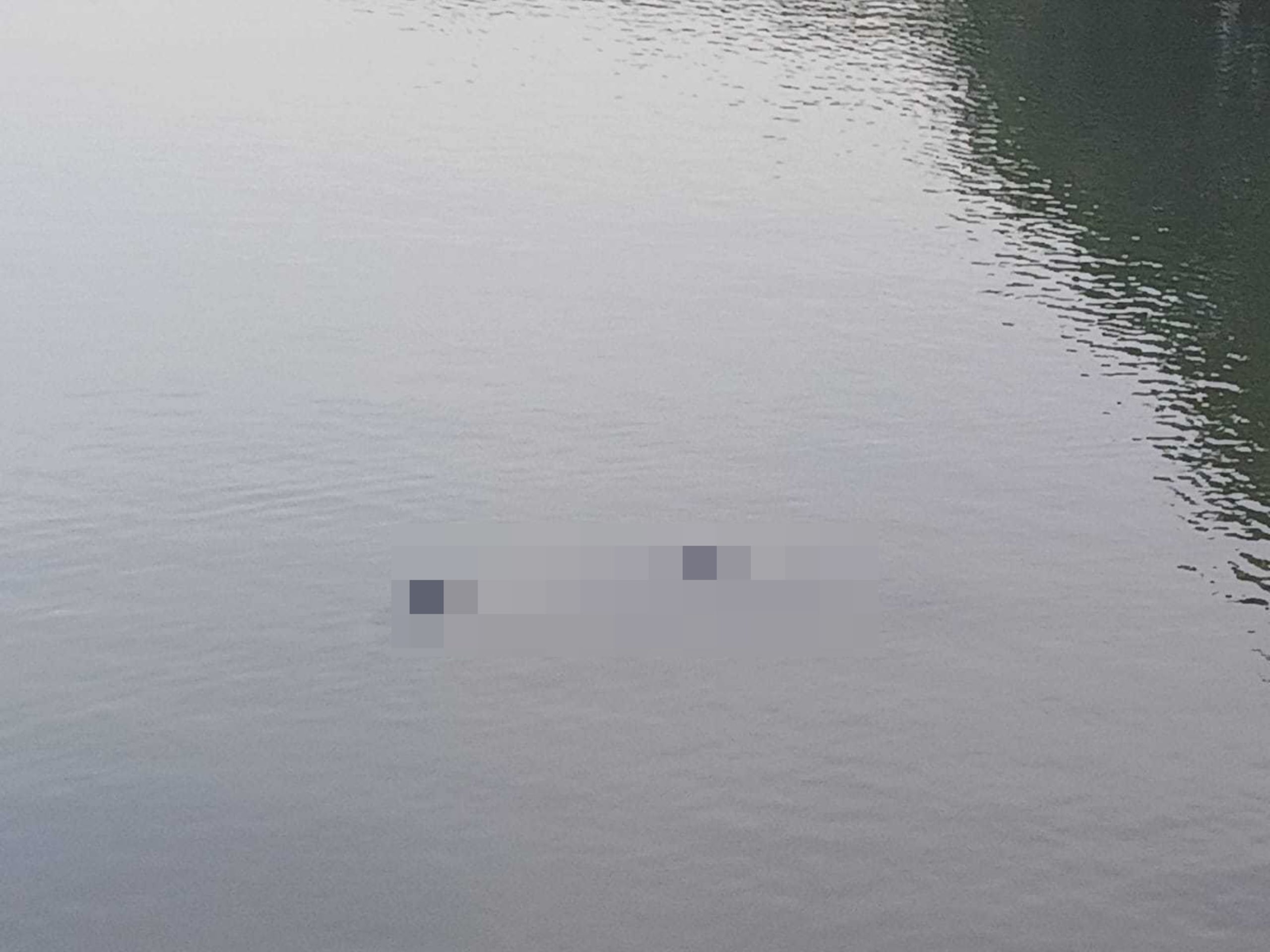 La Uniformada fue alertada sobre el hallazgo a eso de las 6:30 de la mañana de hoy a través de una llamada.