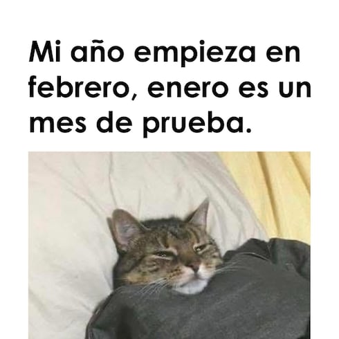 Los mejores memes de la semana