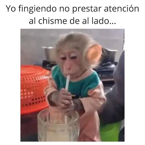 Los mejores memes de la semana