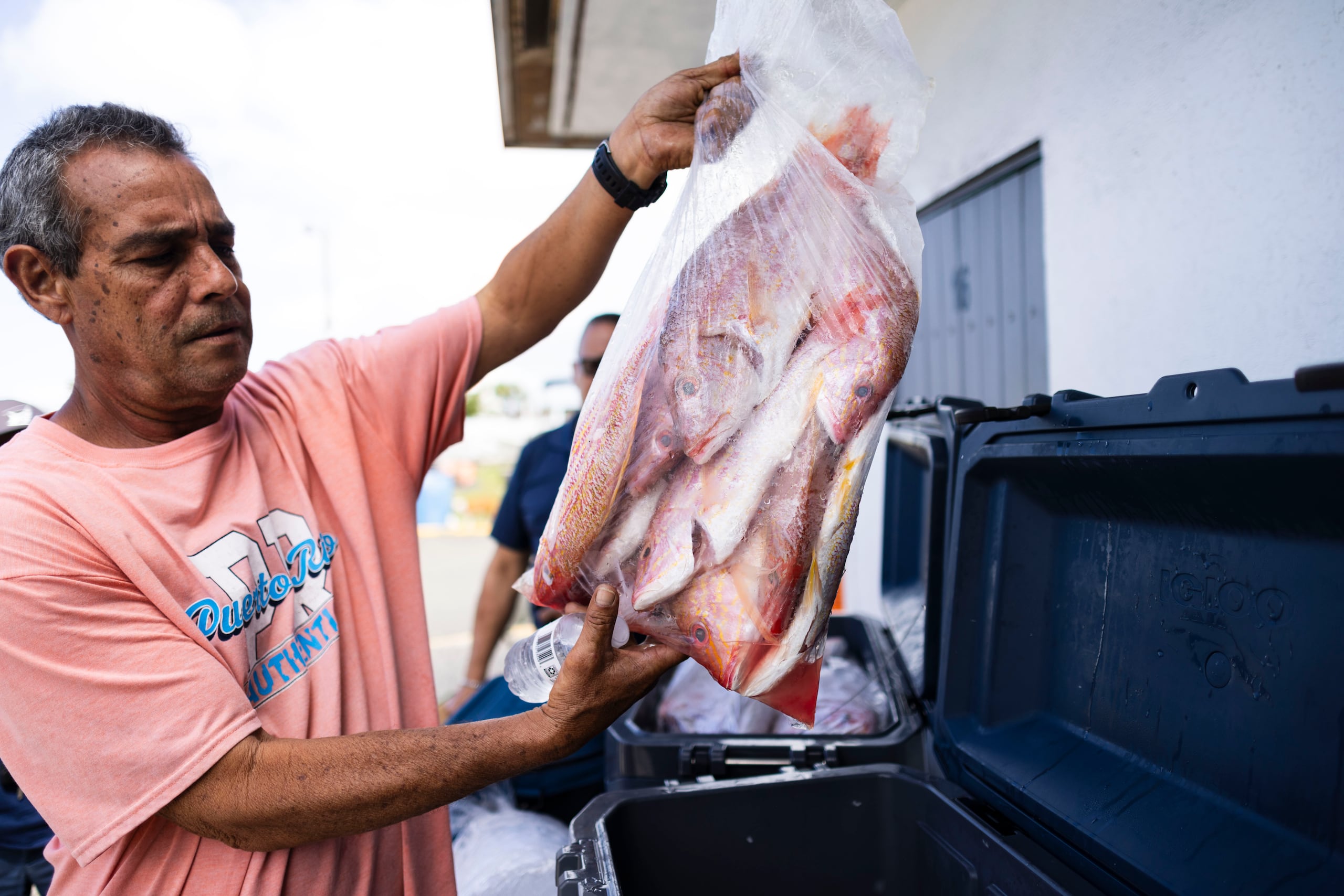 Se espera que las condiciones del mar mejoren en los próximos días, para robustecer el ofrecimiento de pescados y mariscos.