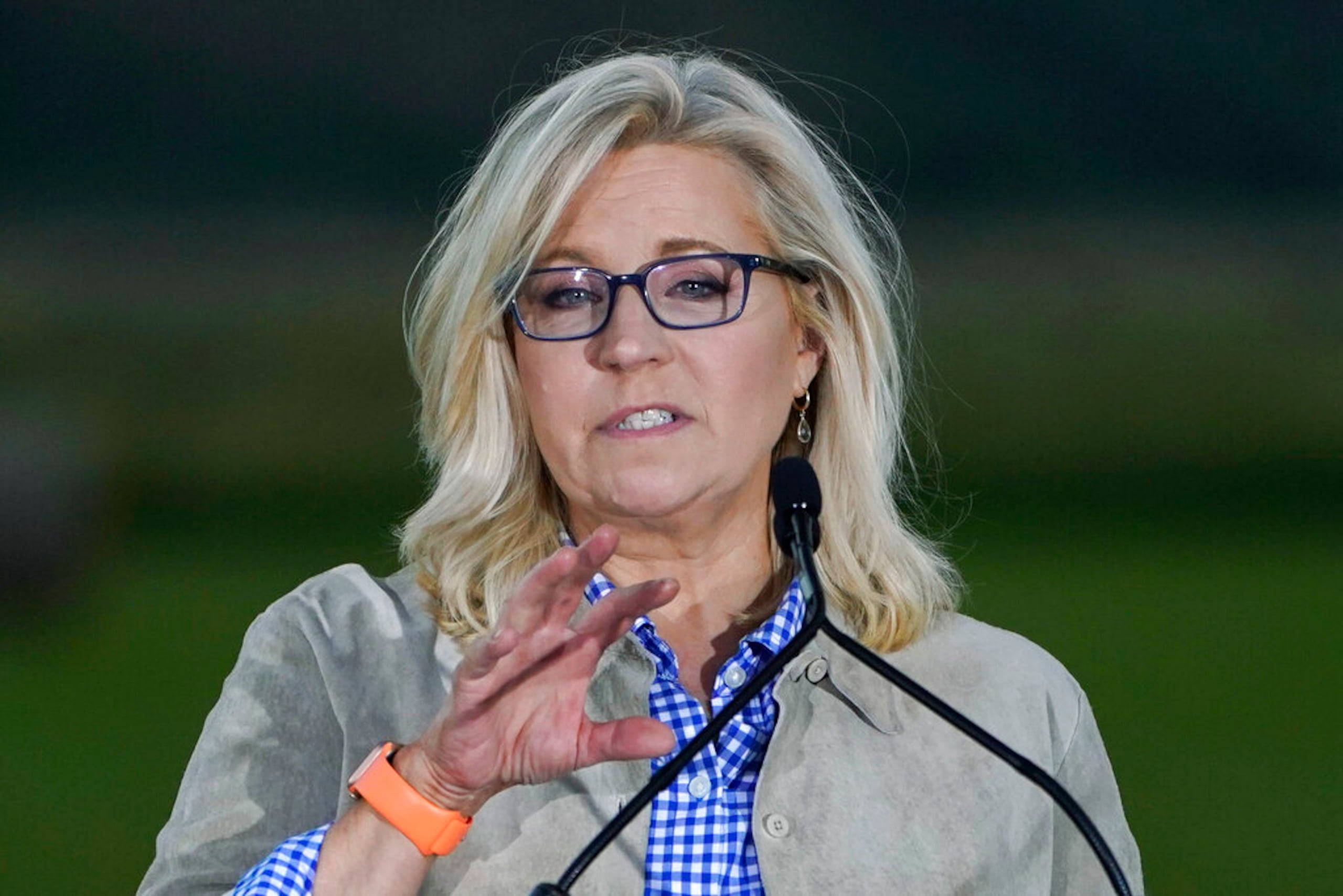 Liz Cheney (AP Foto/Jae C. Hong)