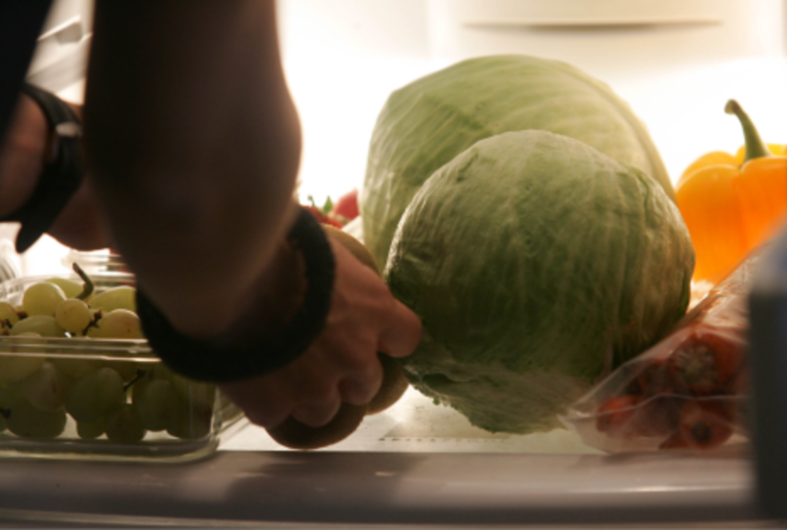 Casi la mitad de alimentos producidos en el mundo son desechados. (Archivo)